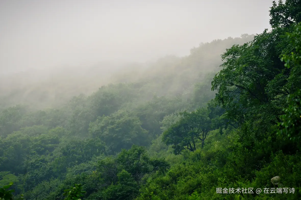 在云端写诗于2025-08-04 10:49发布的图片