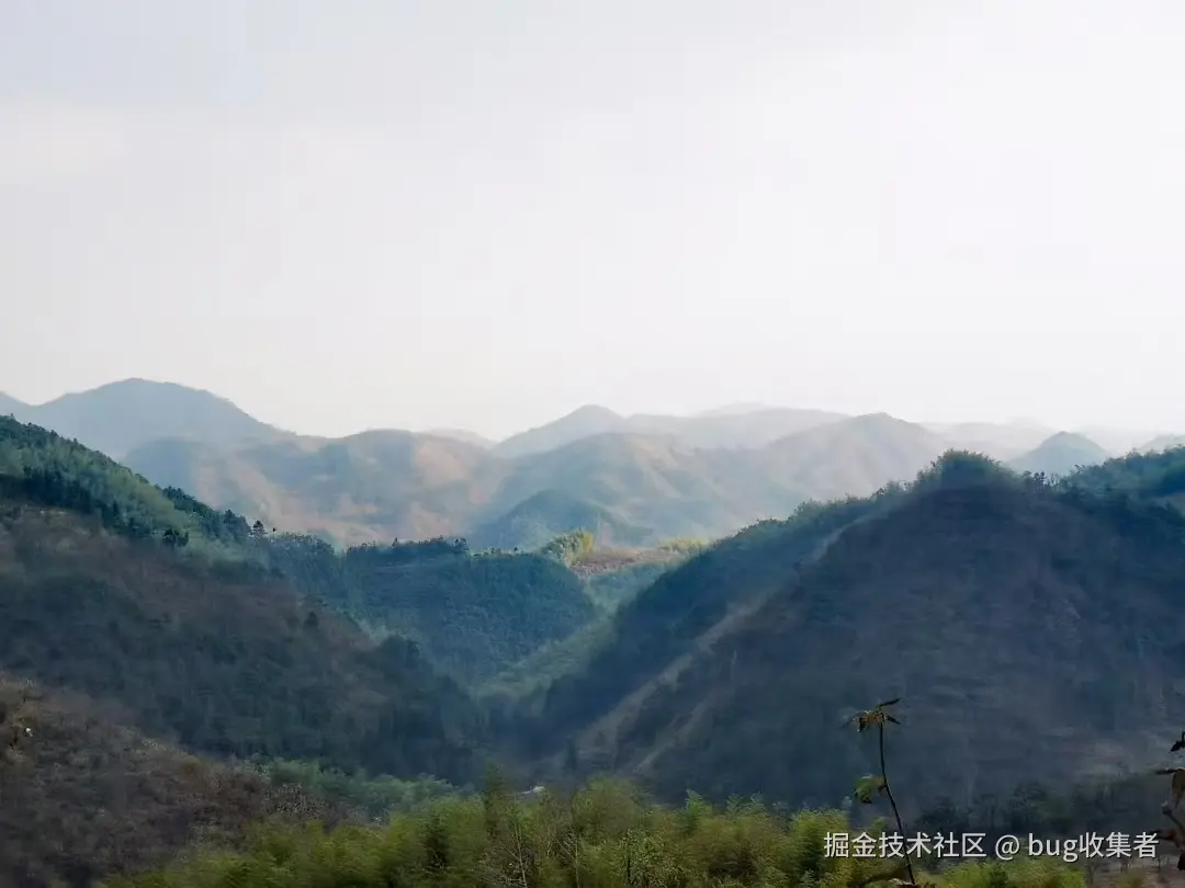 bug收集者于2024-11-25 09:51发布的图片