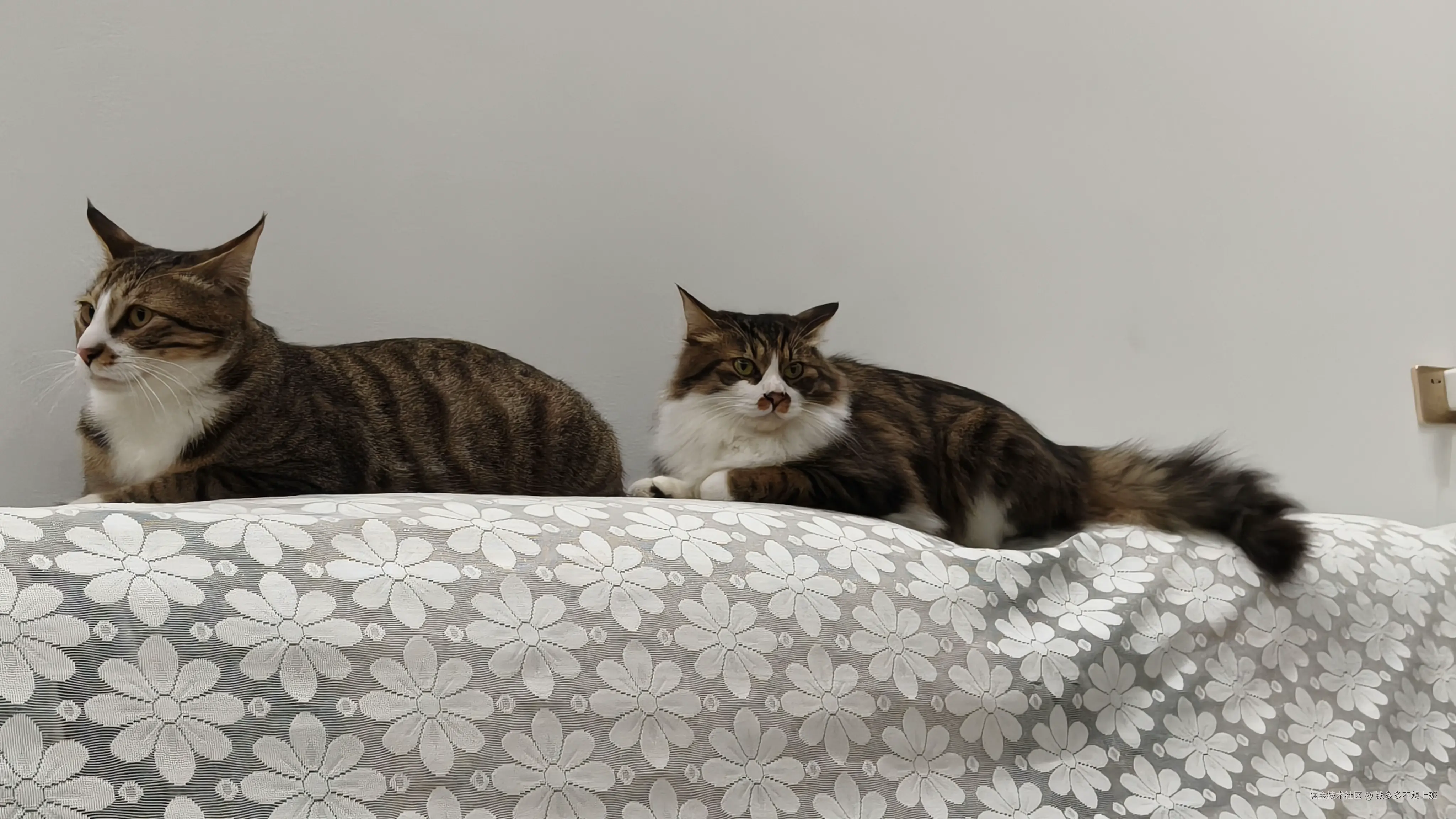 钱多多不想上班于2026-03-25 15:45发布的图片