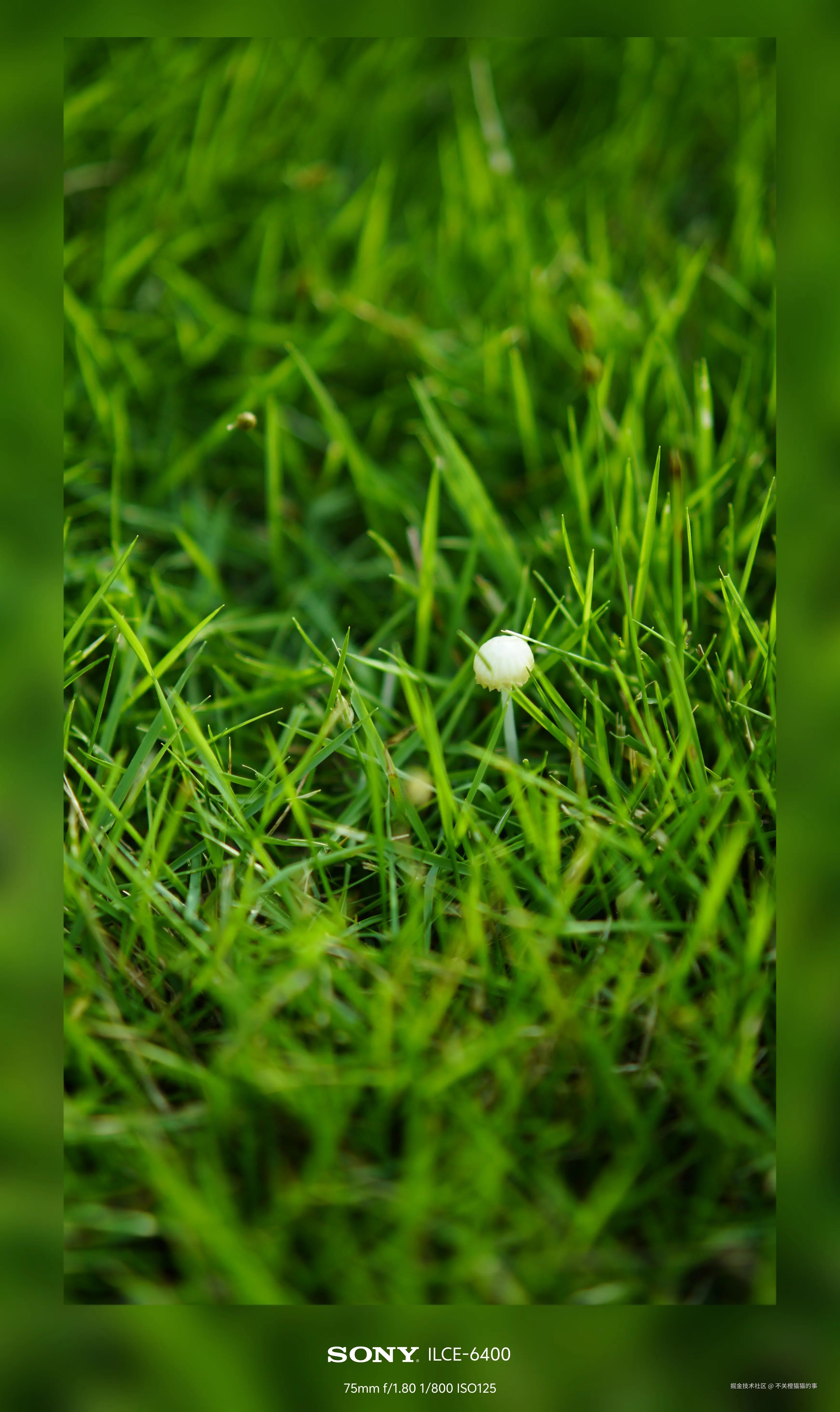 不关橙猫猫的事于2024-10-08 14:03发布的图片