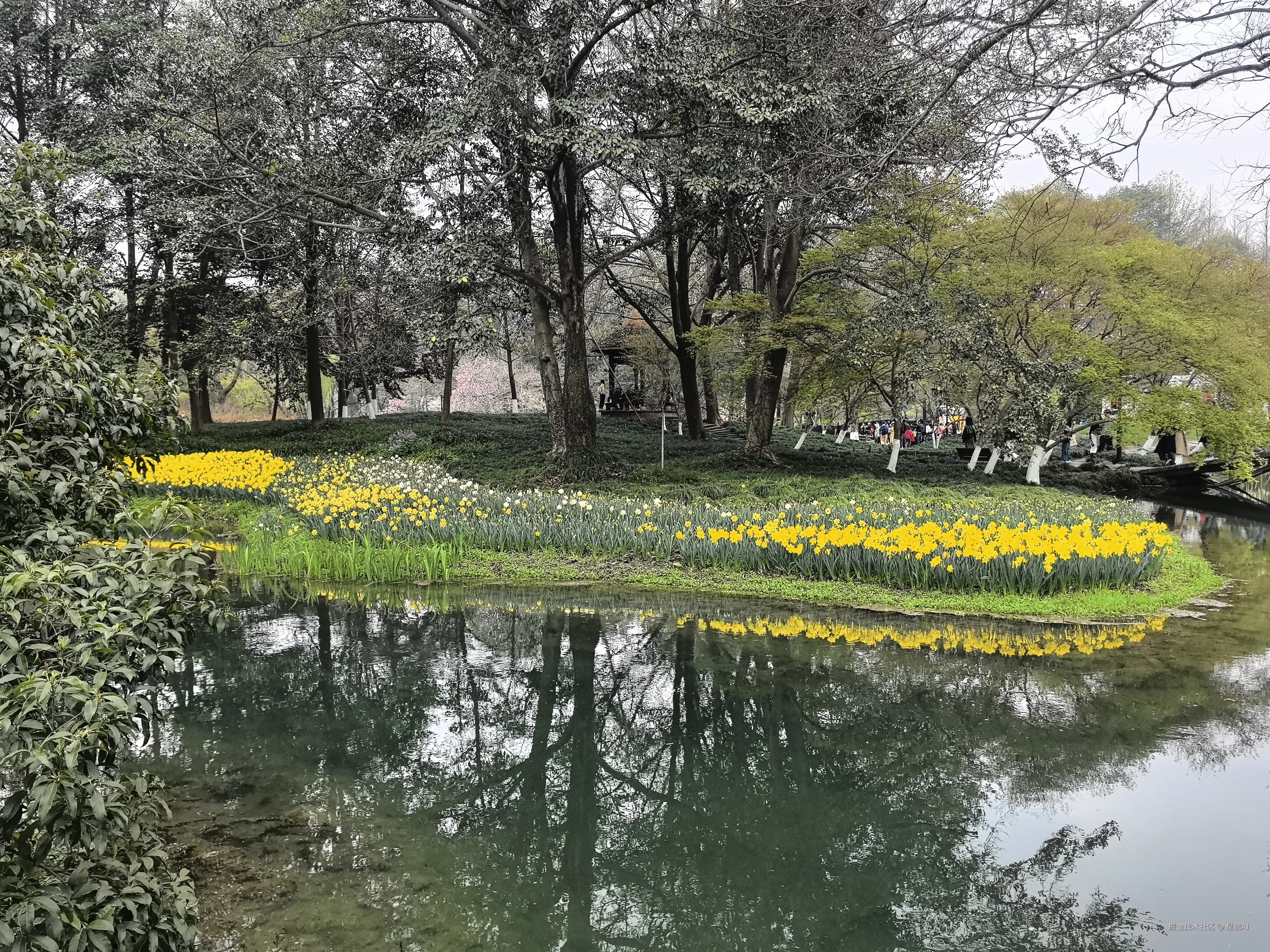 星浩AI于2026-03-22 12:00发布的图片