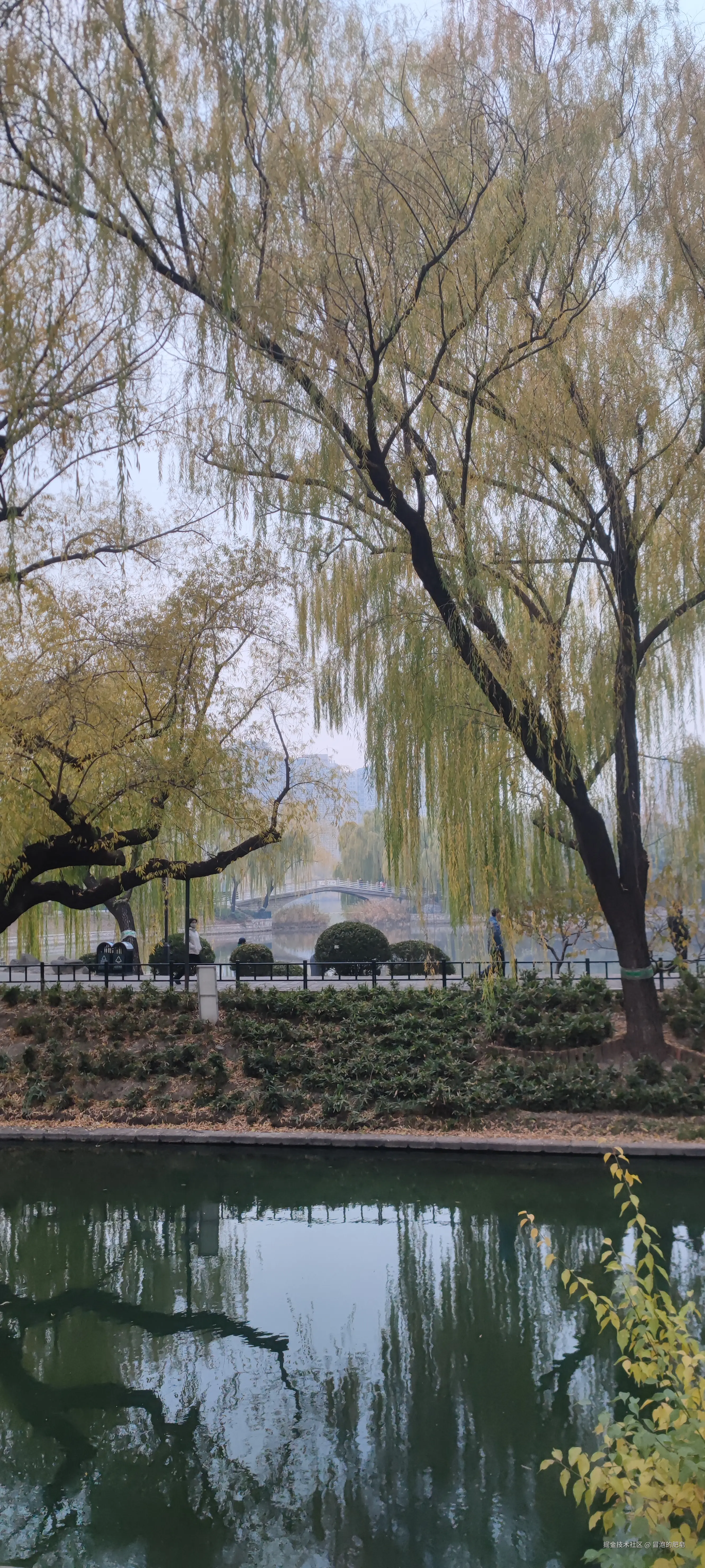 冒泡的肥皂于2024-11-24 16:42发布的图片