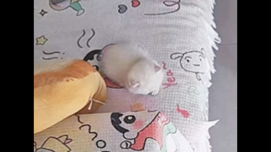 就爱吃火锅于2026-03-18 14:42发布的图片