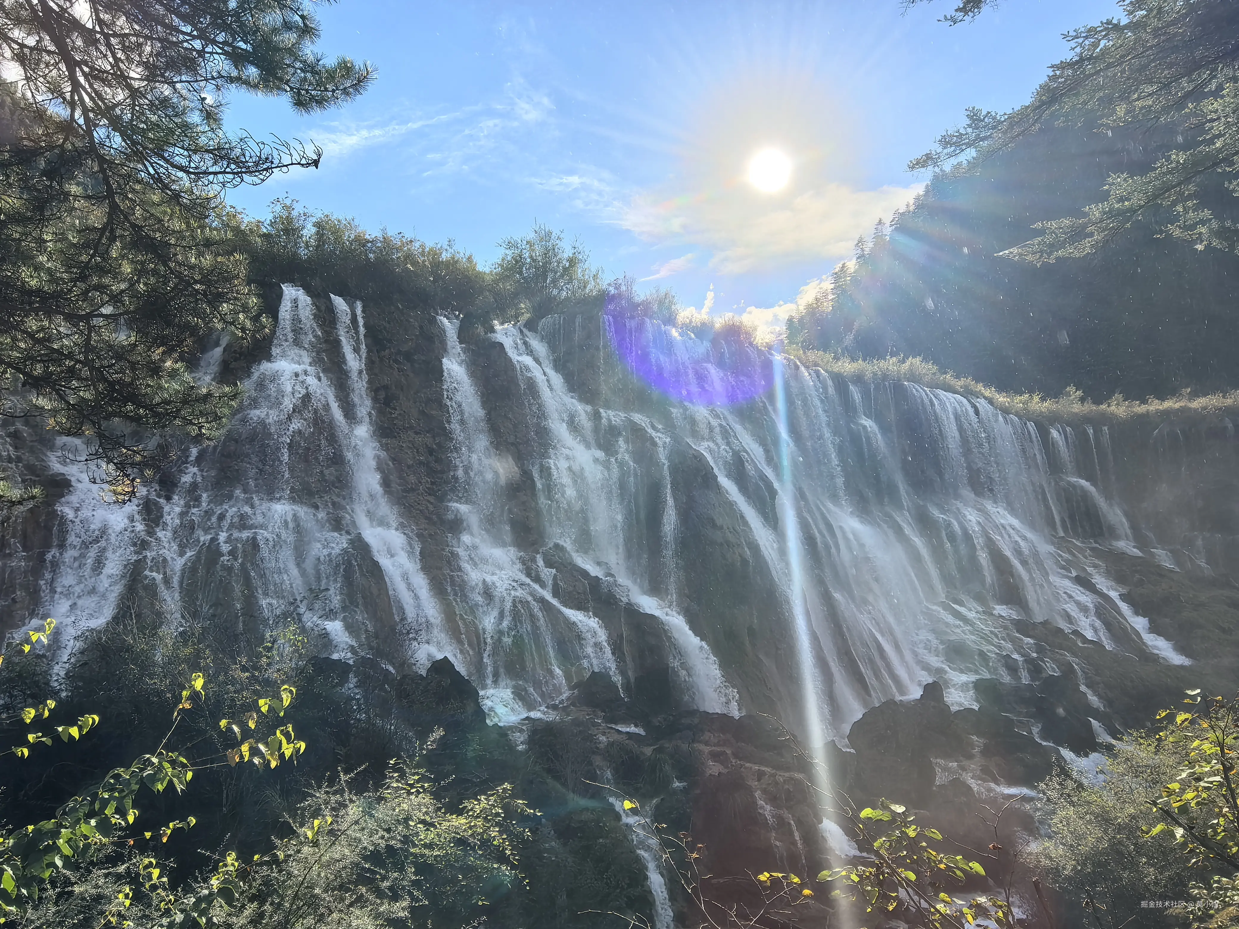 莫小仙于2025-10-09 10:54发布的图片