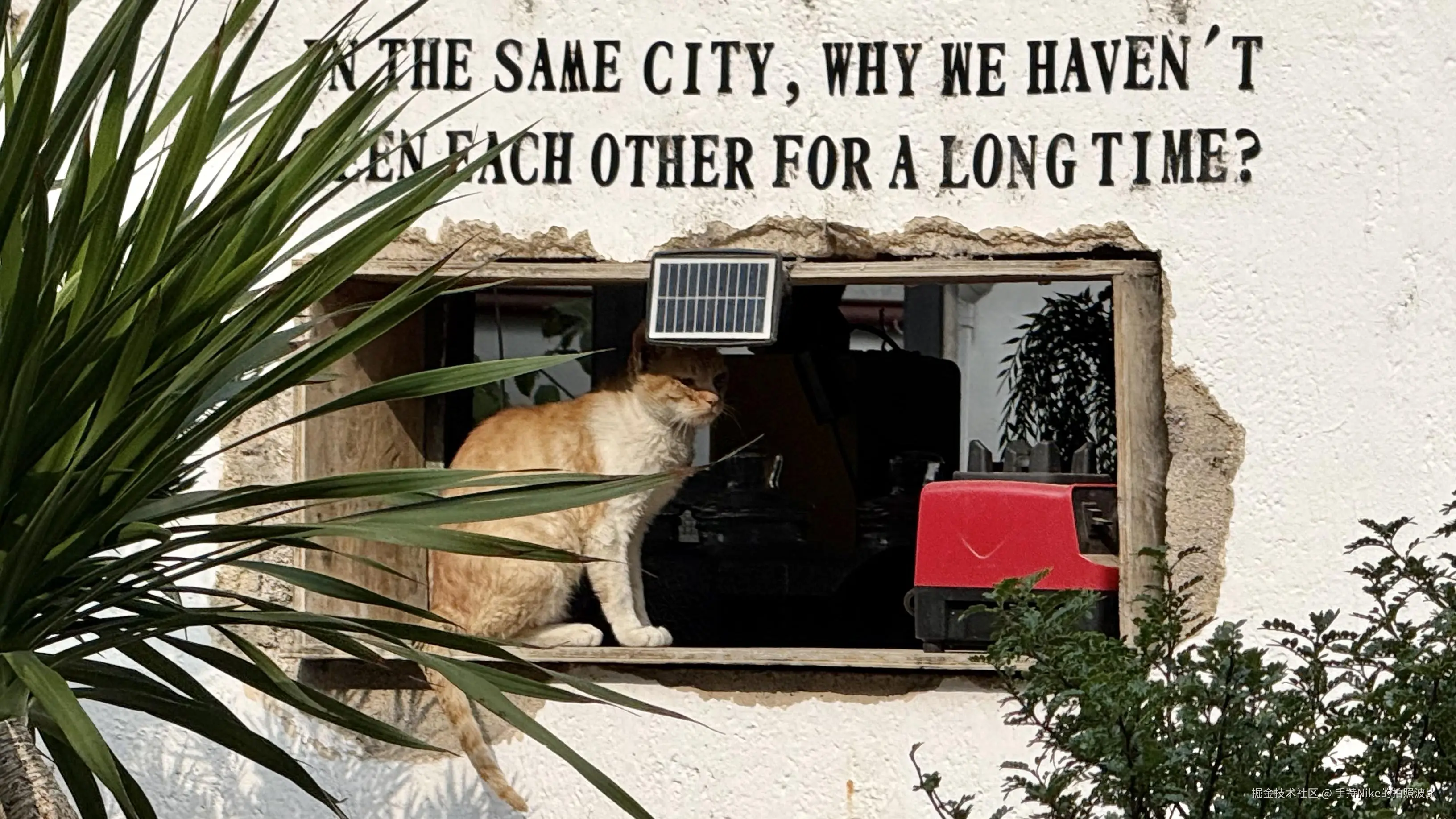 手持Nike的拍照波比于2025-04-07 15:02发布的图片