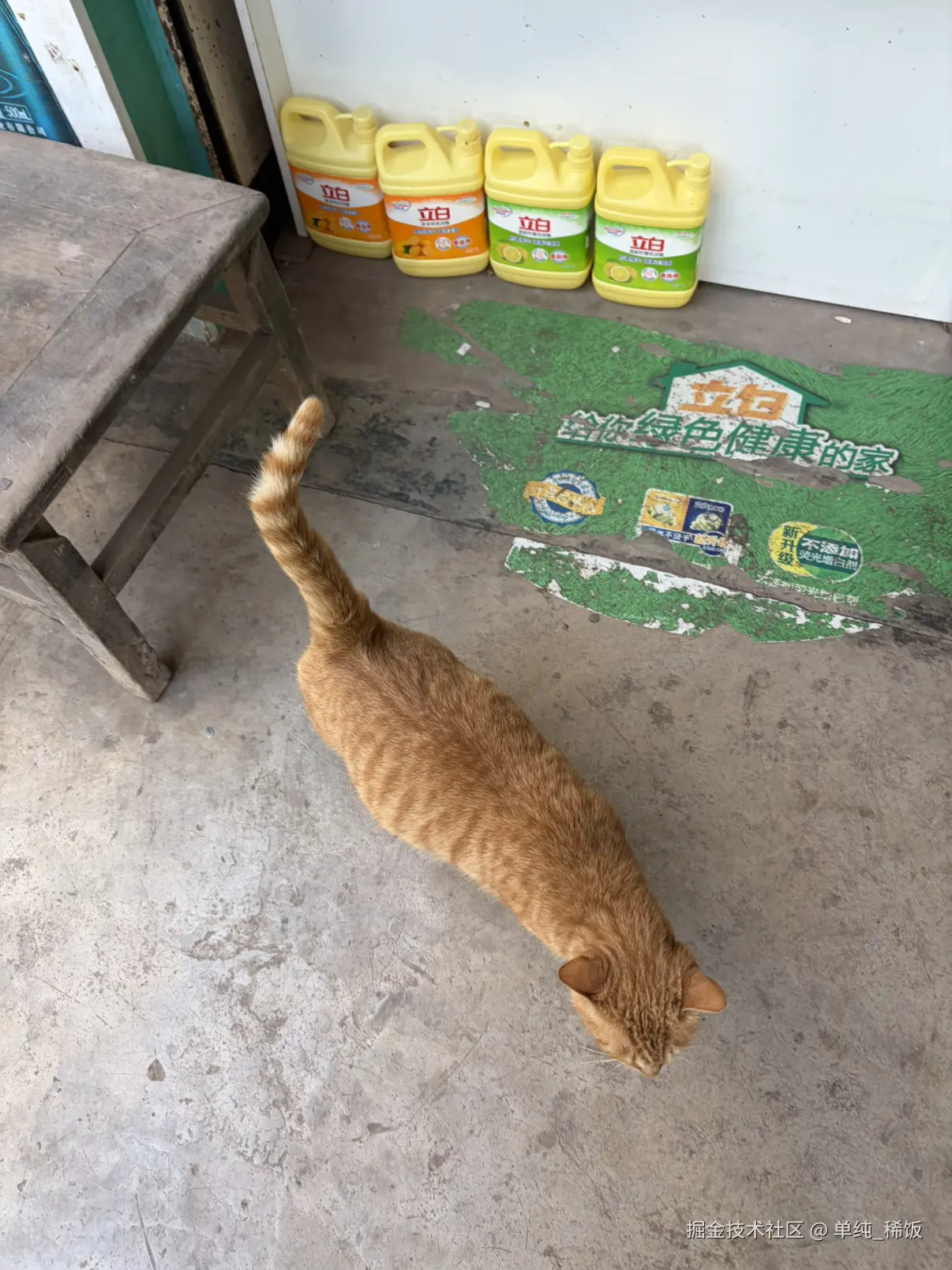 单纯_稀饭于2026-02-26 12:00发布的图片