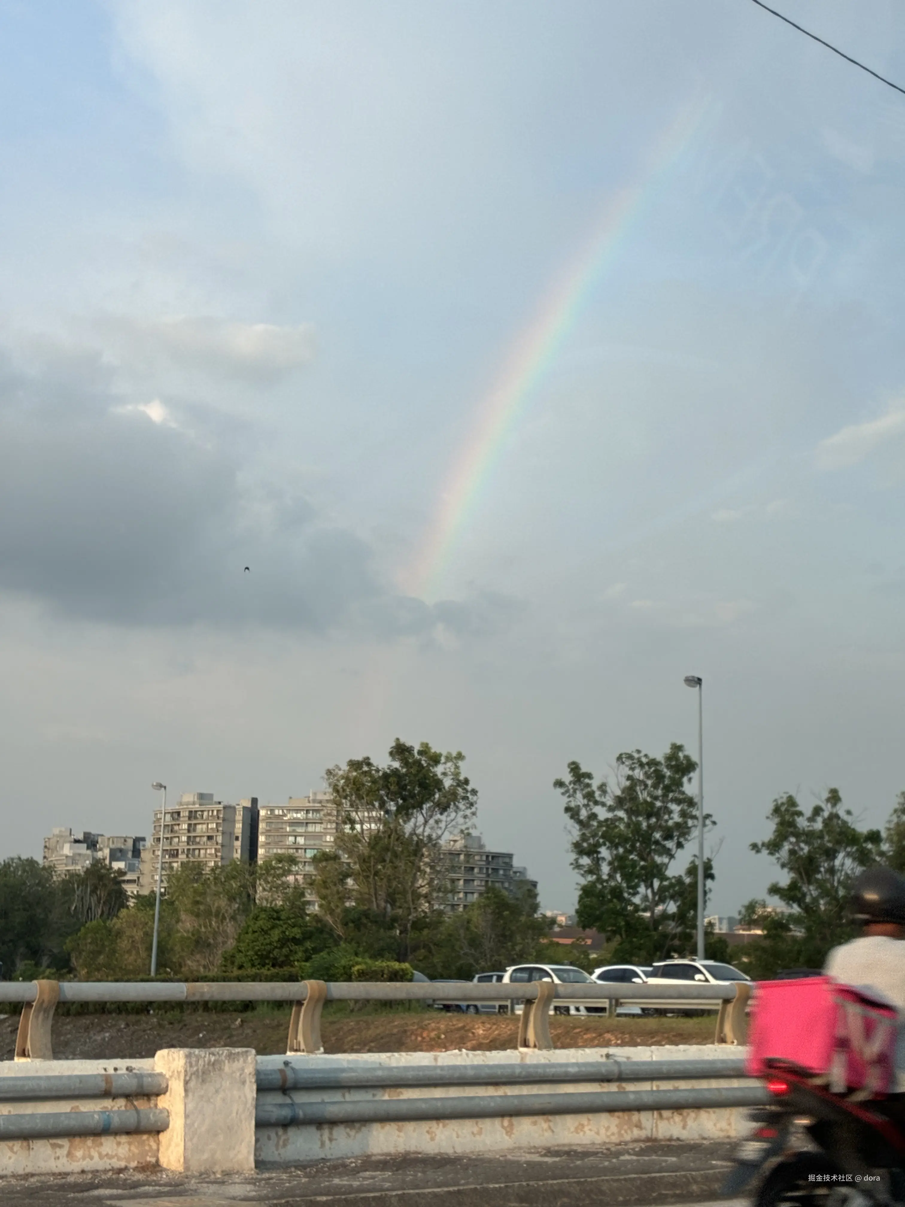 dora于2026-04-13 00:29发布的图片