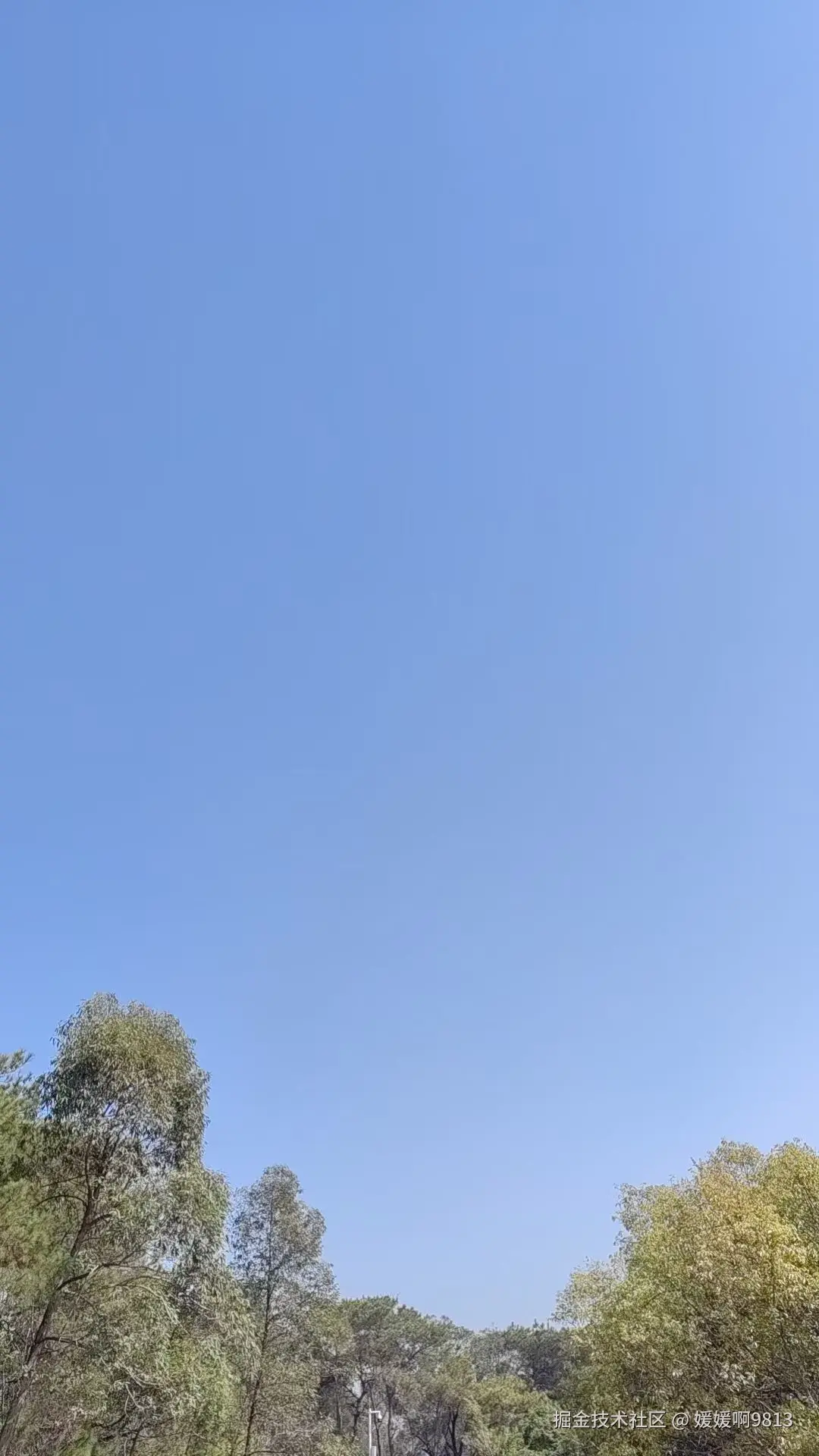 媛媛啊9813于2025-01-12 20:29发布的图片