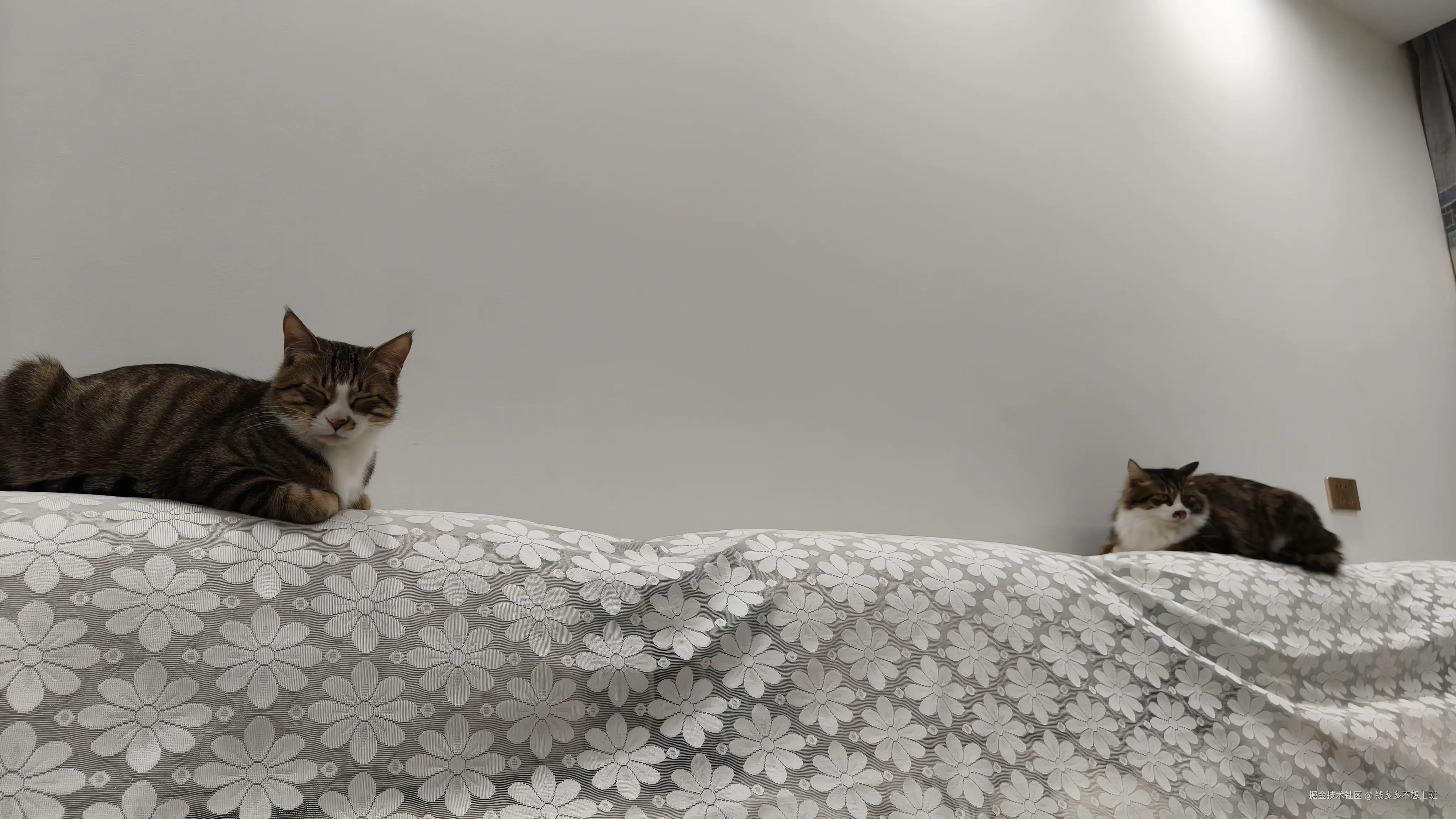 钱多多不想上班于2026-03-25 15:45发布的图片