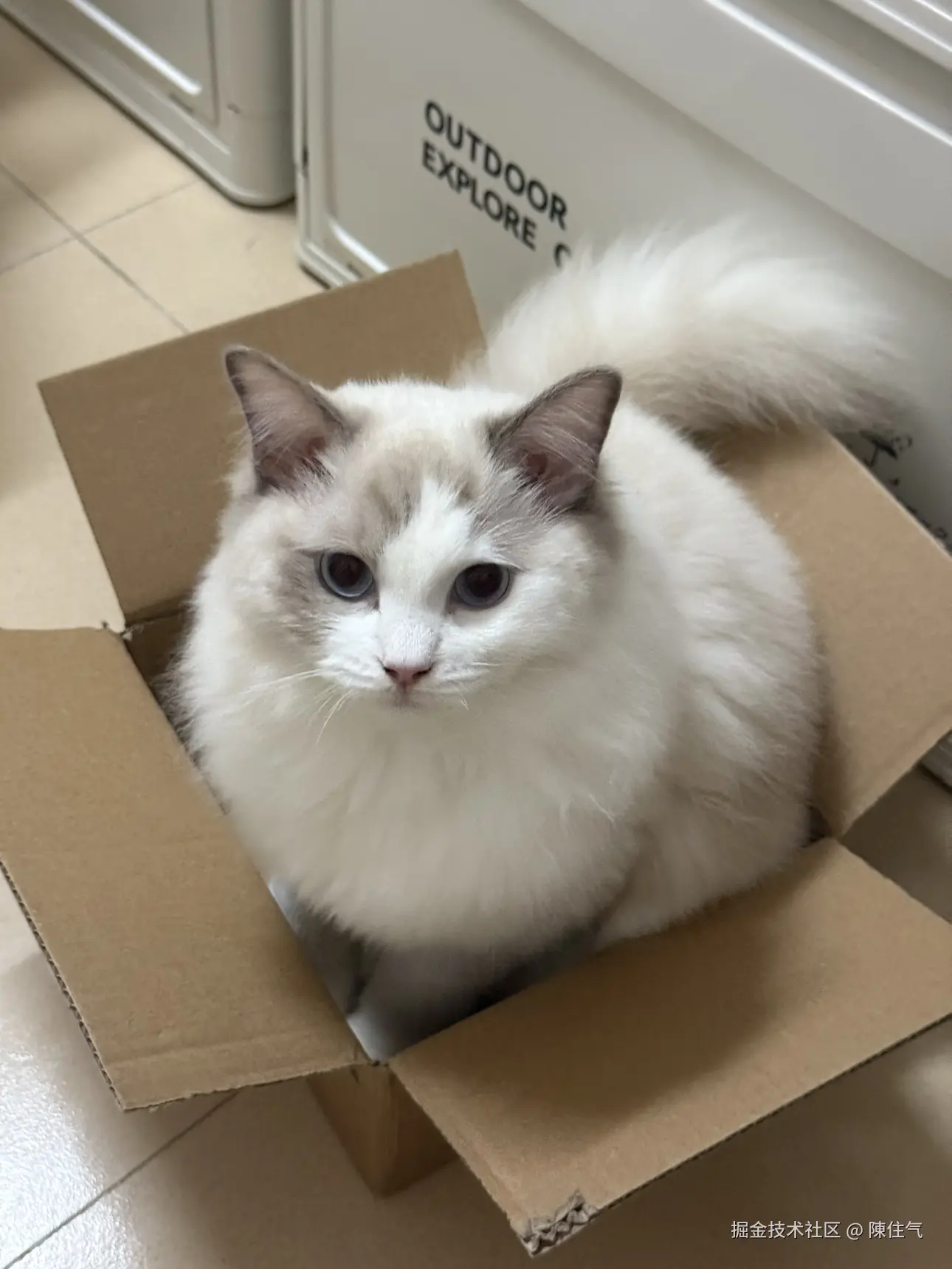 陳住气于2024-11-19 08:58发布的图片