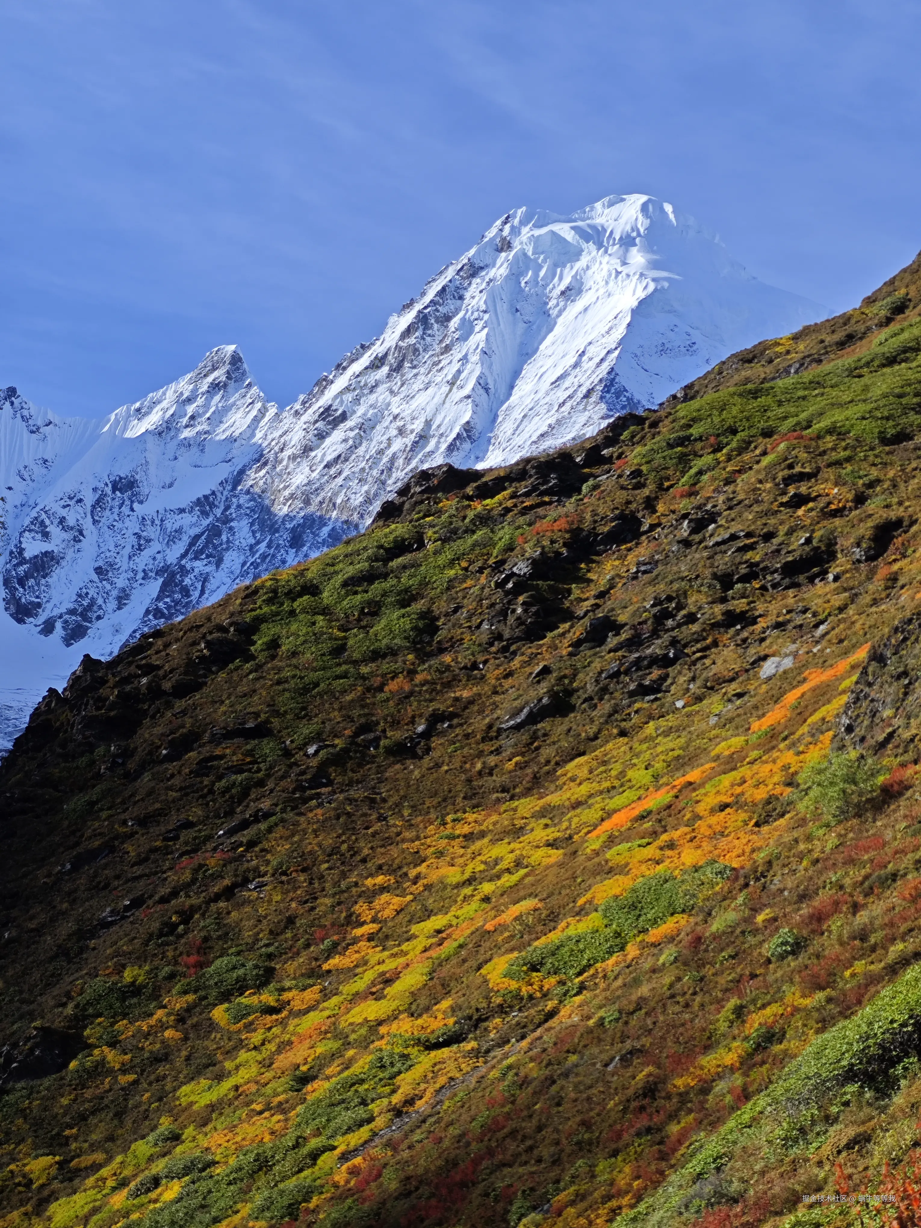 蜗牛等等我于2025-10-09 01:03发布的图片