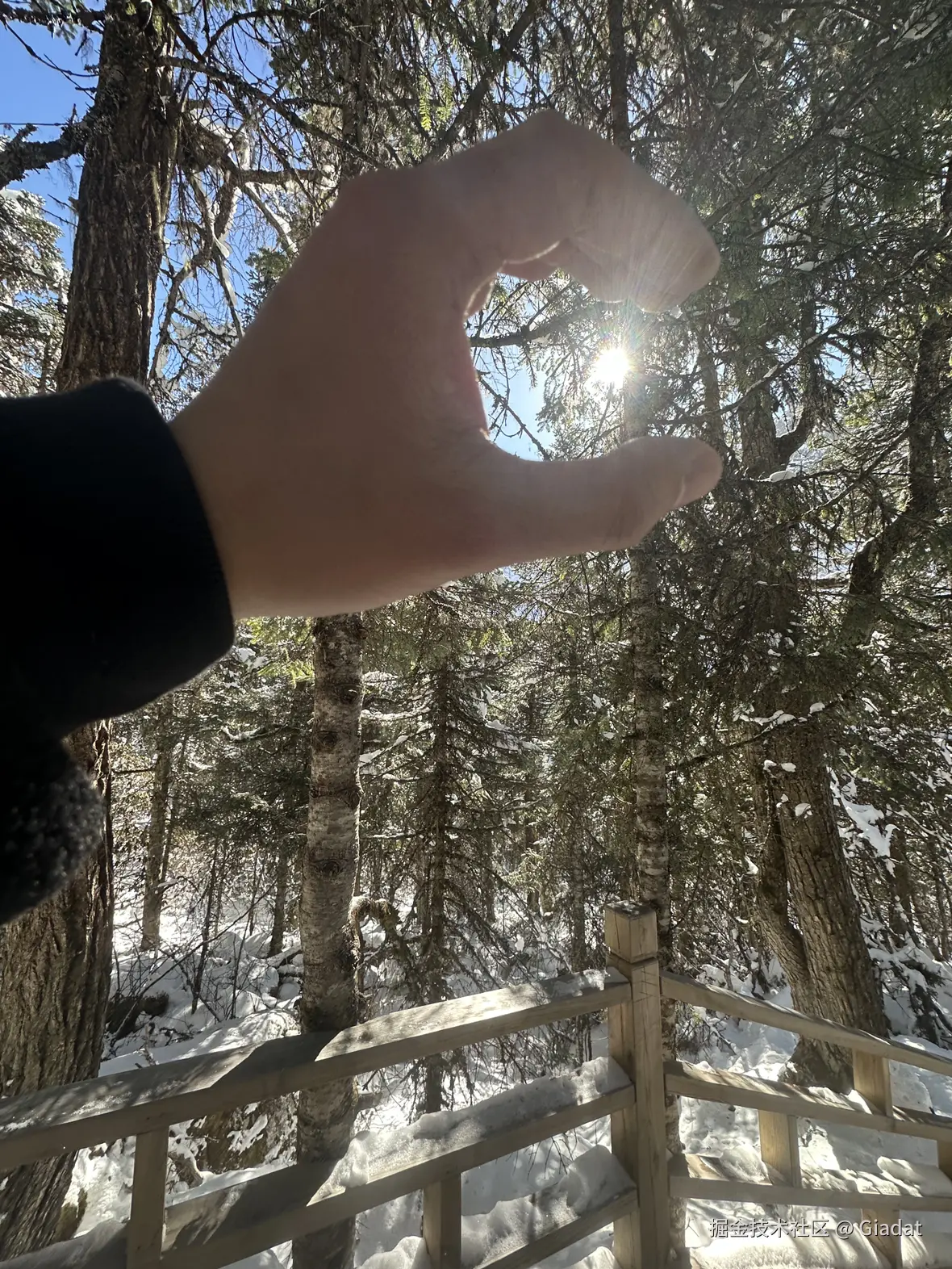 Giadat于2024-12-02 10:48发布的图片