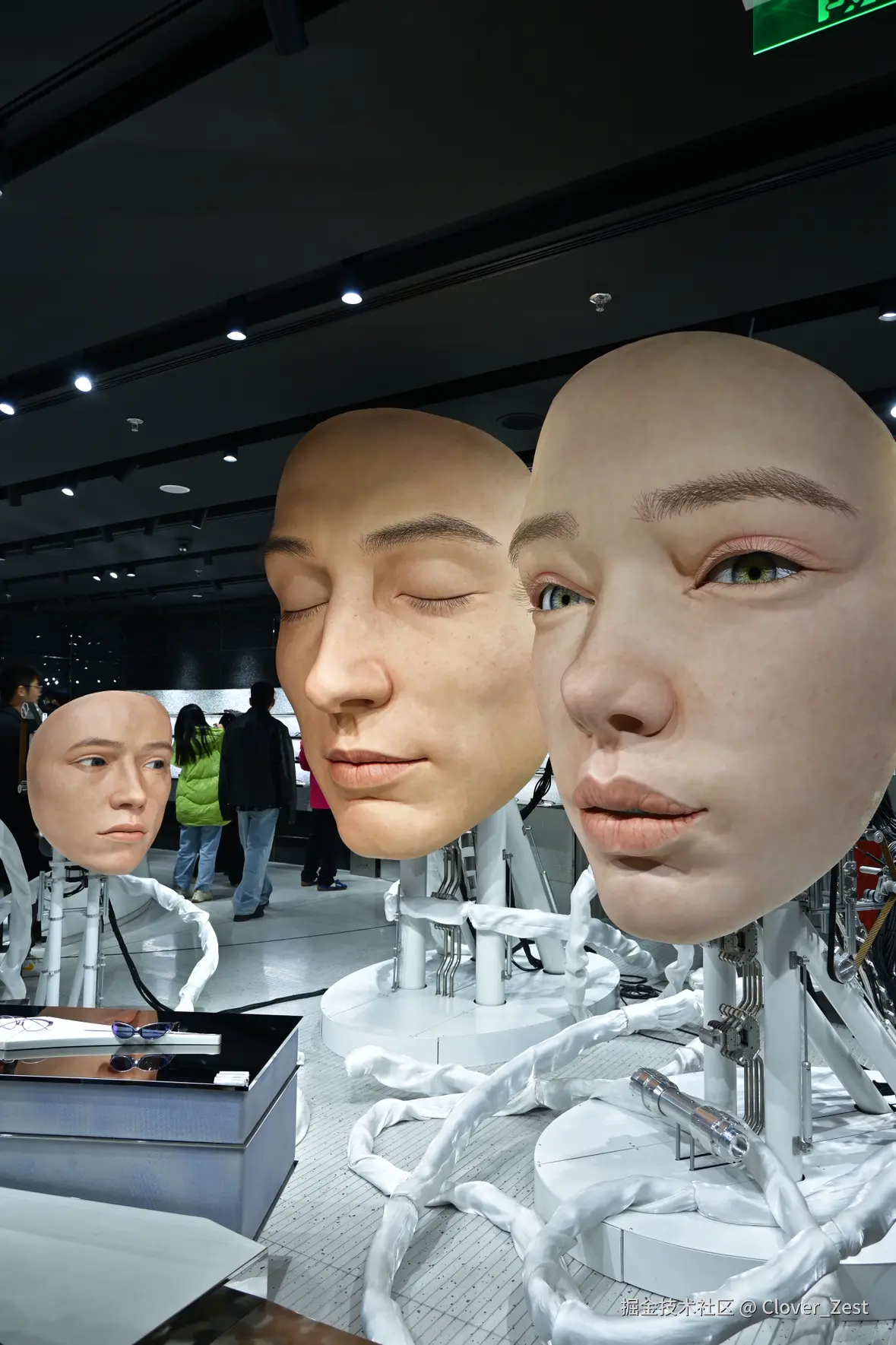 Clover_Zest于2025-12-19 15:16发布的图片