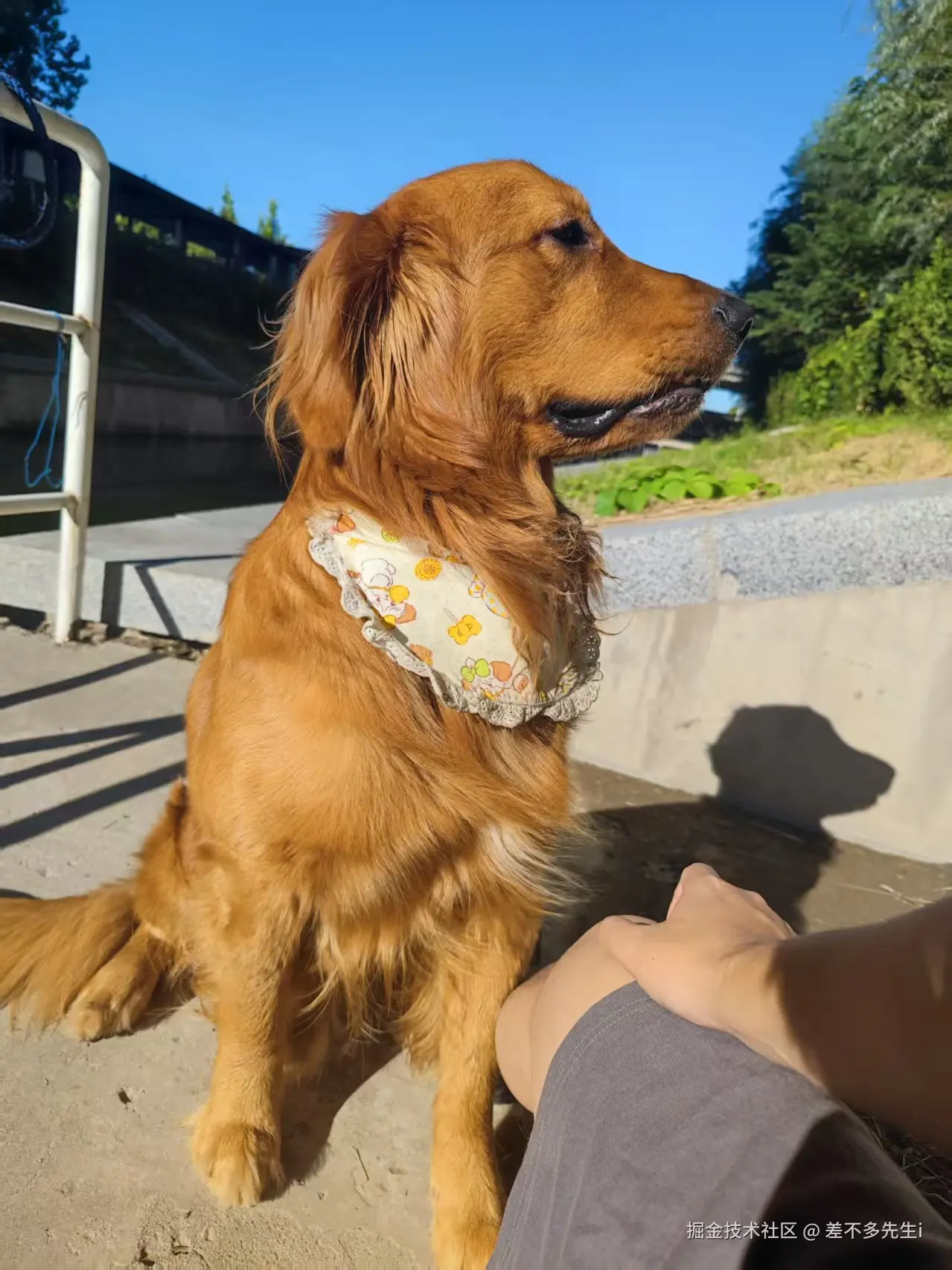 差不多先生i于2026-01-14 18:05发布的图片