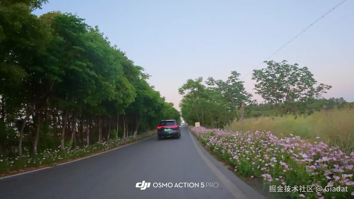 Giadat于2025-05-06 10:47发布的图片