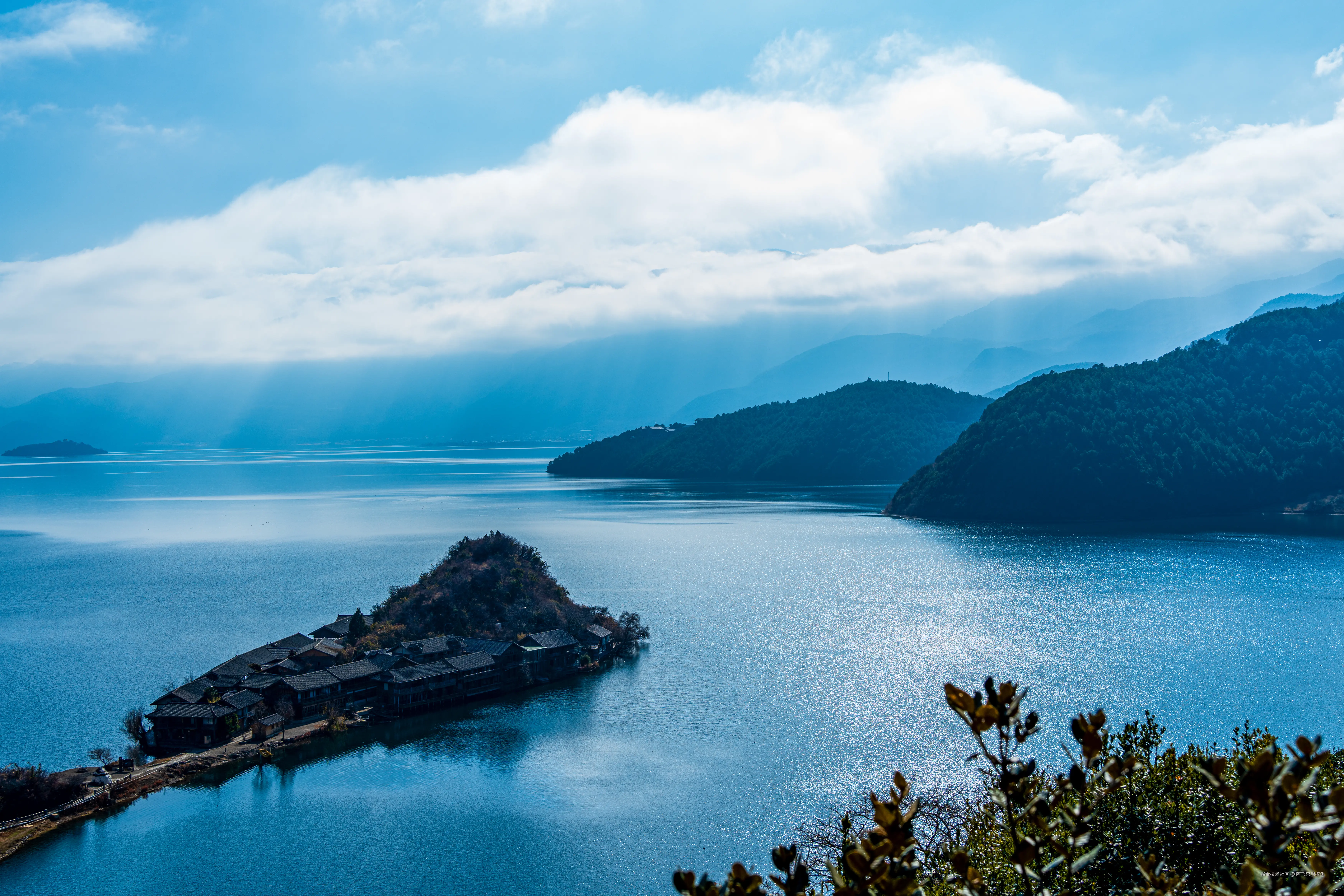 阿飞只想摸鱼于2026-02-11 14:46发布的图片