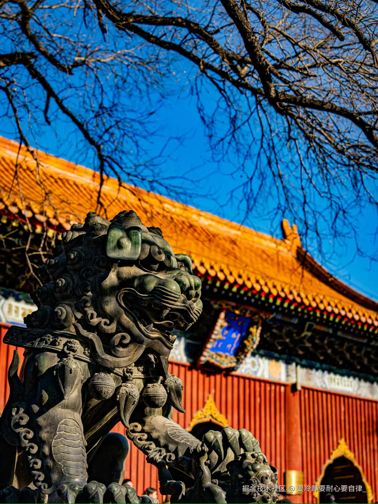 要冷静要耐心要自律_于2025-03-12 08:46发布的图片