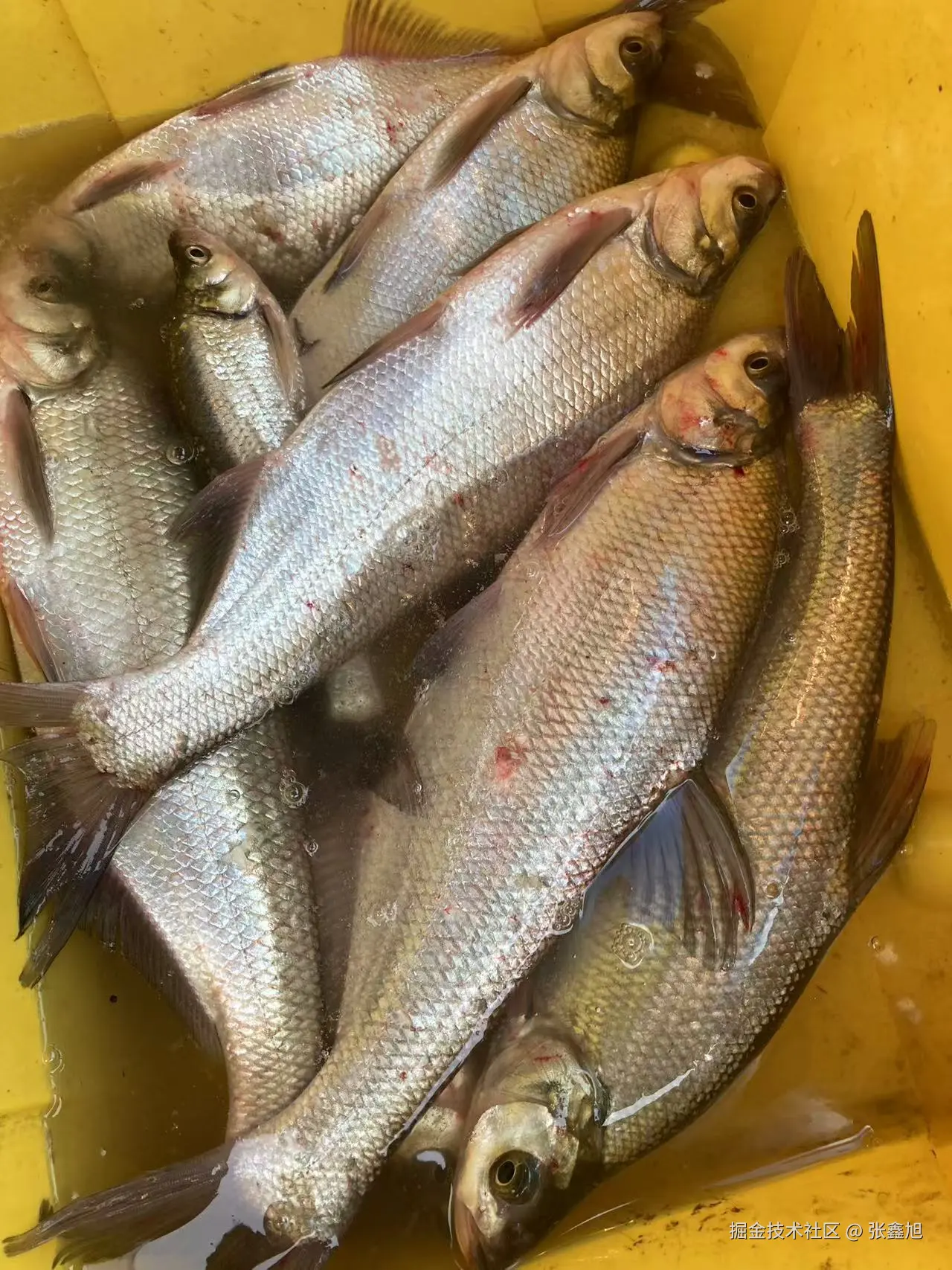 张鑫旭于2024-10-21 14:54发布的图片