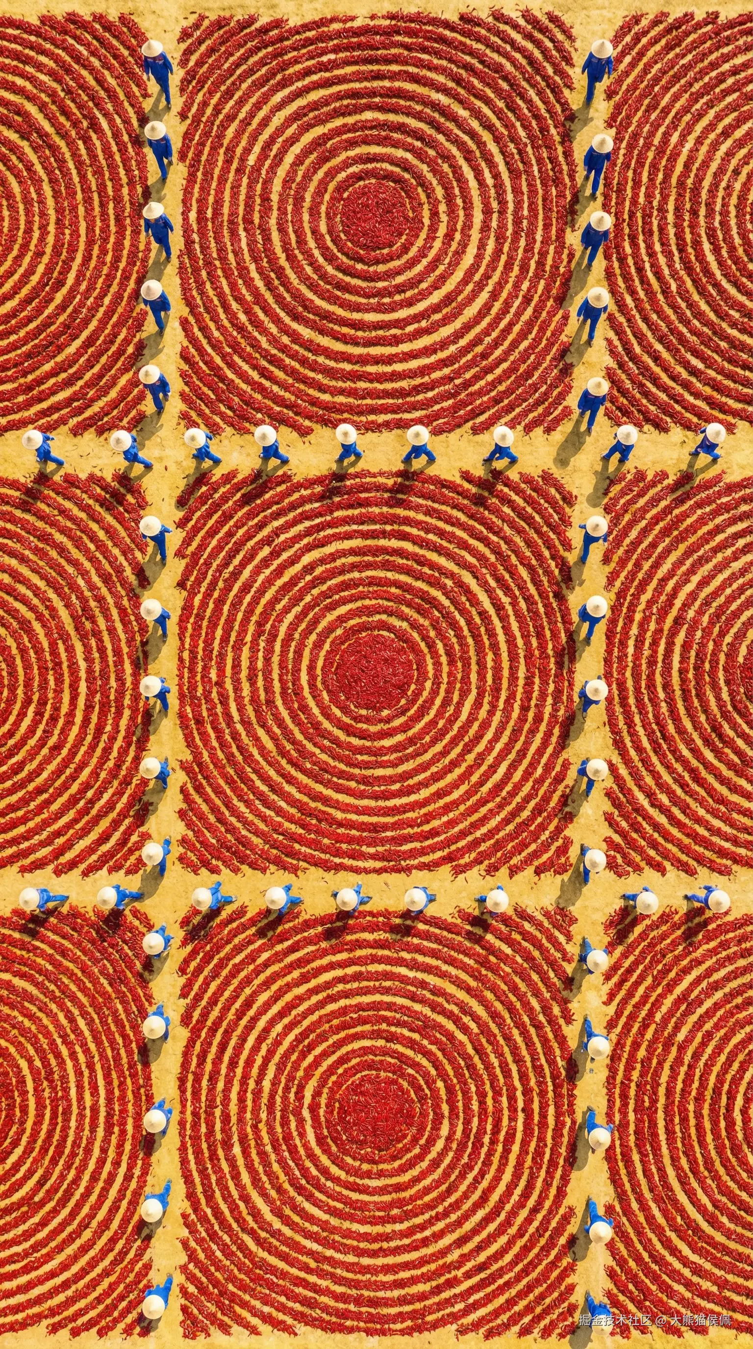 大熊猫侯佩于2025-12-20 22:38发布的图片