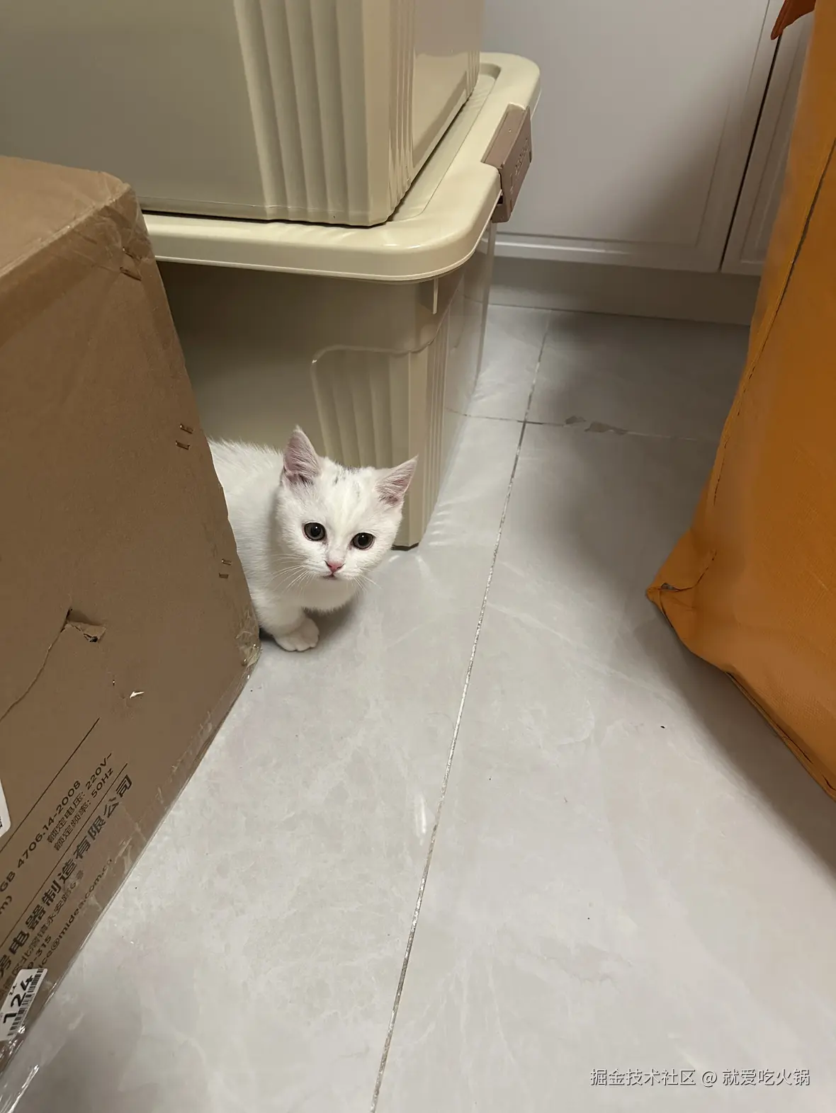 就爱吃火锅于2025-04-09 10:03发布的图片