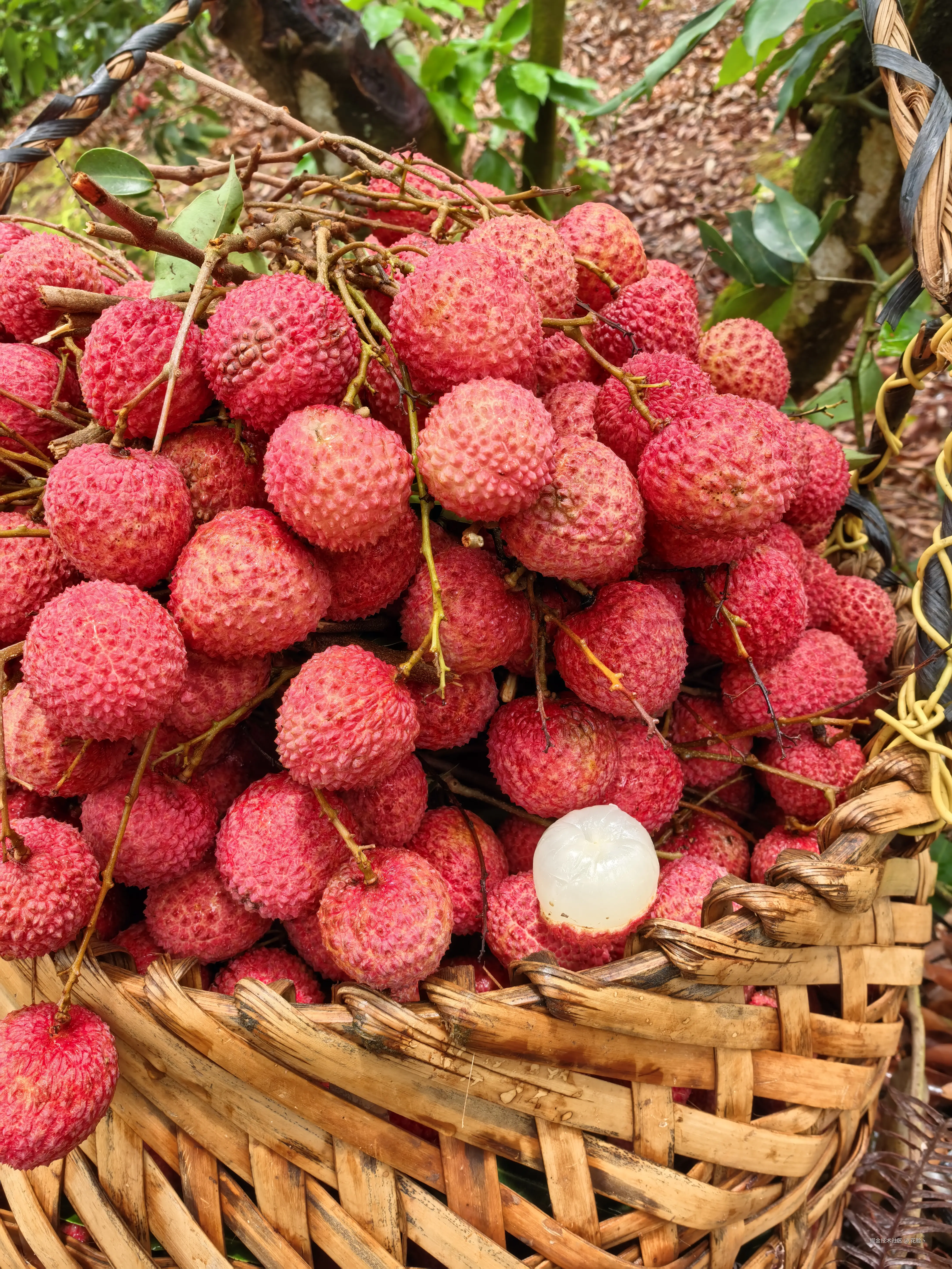 花脸丶于2025-06-13 19:24发布的图片