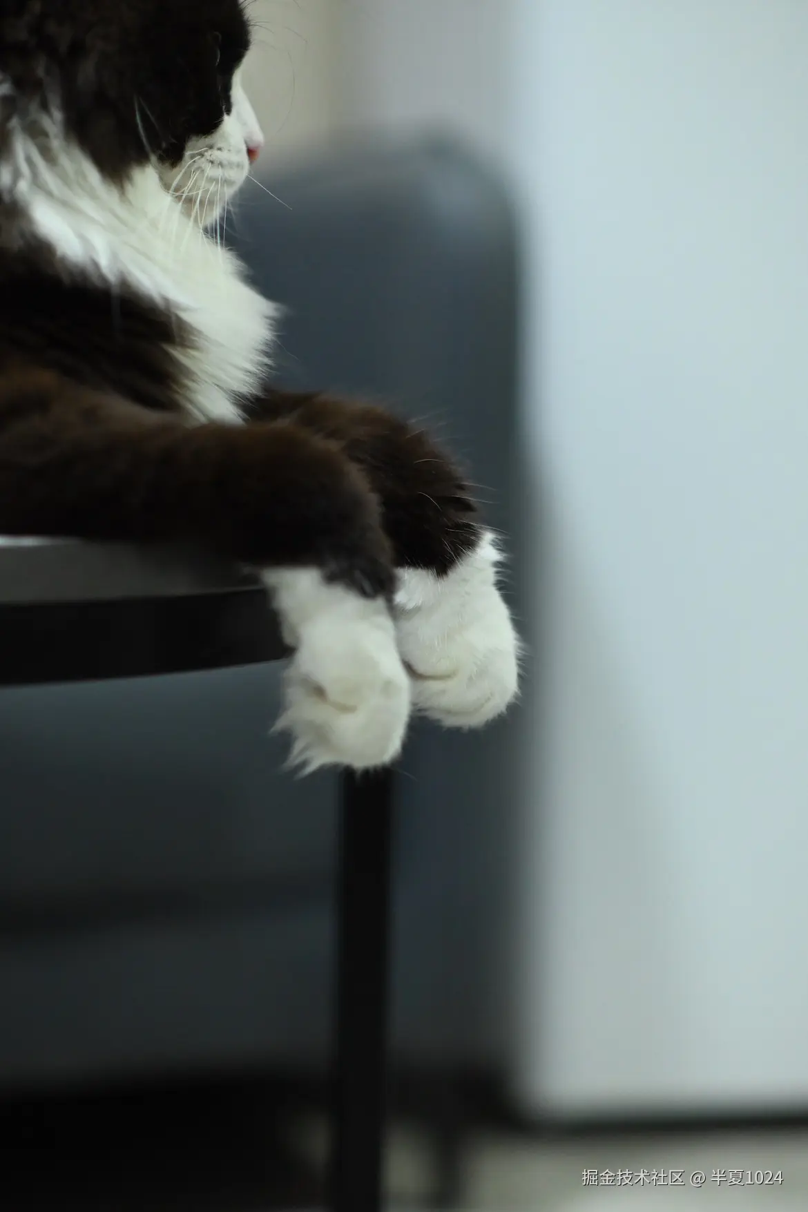 半夏1024于2024-08-19 10:37发布的图片