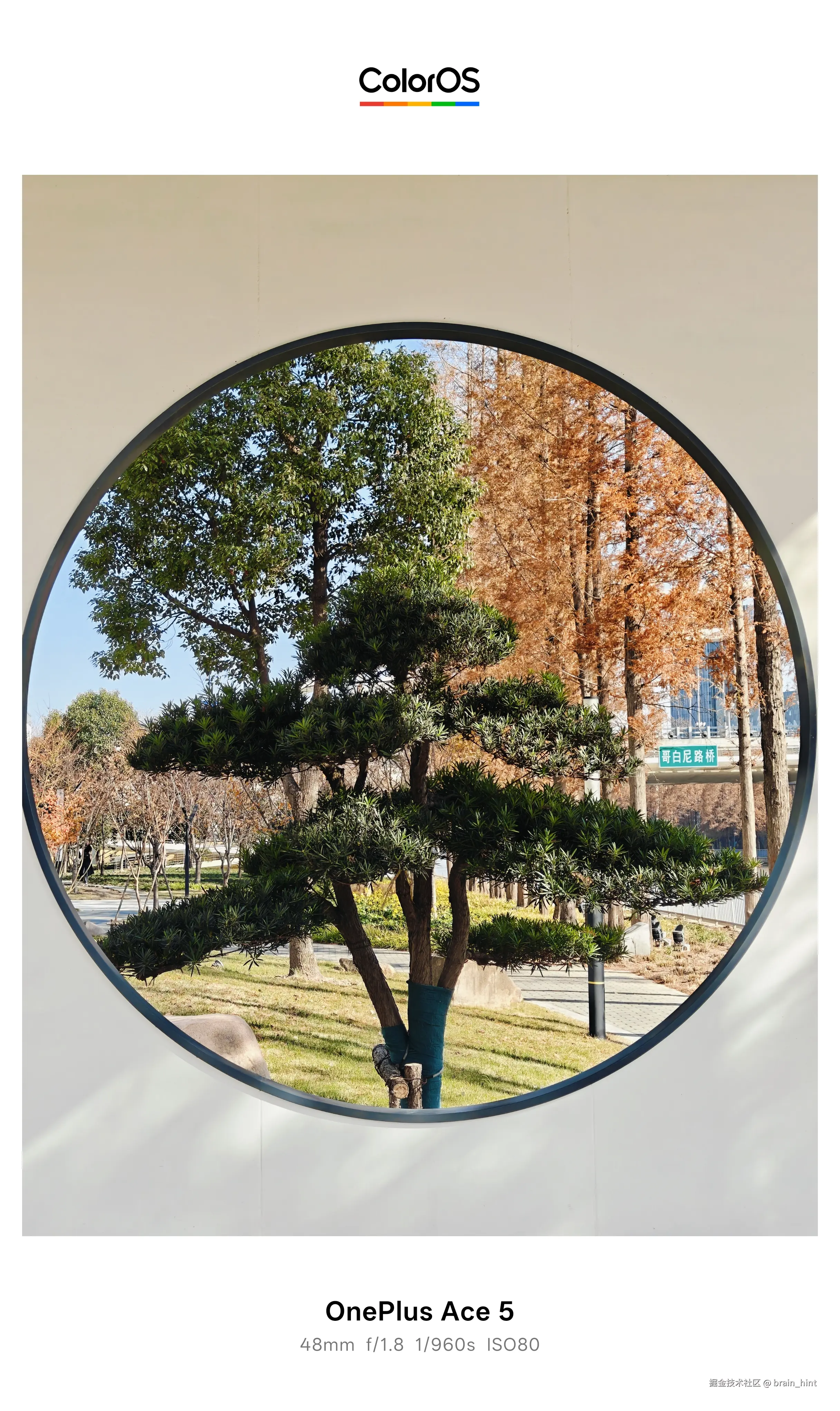 brain_hint于2025-12-15 12:59发布的图片