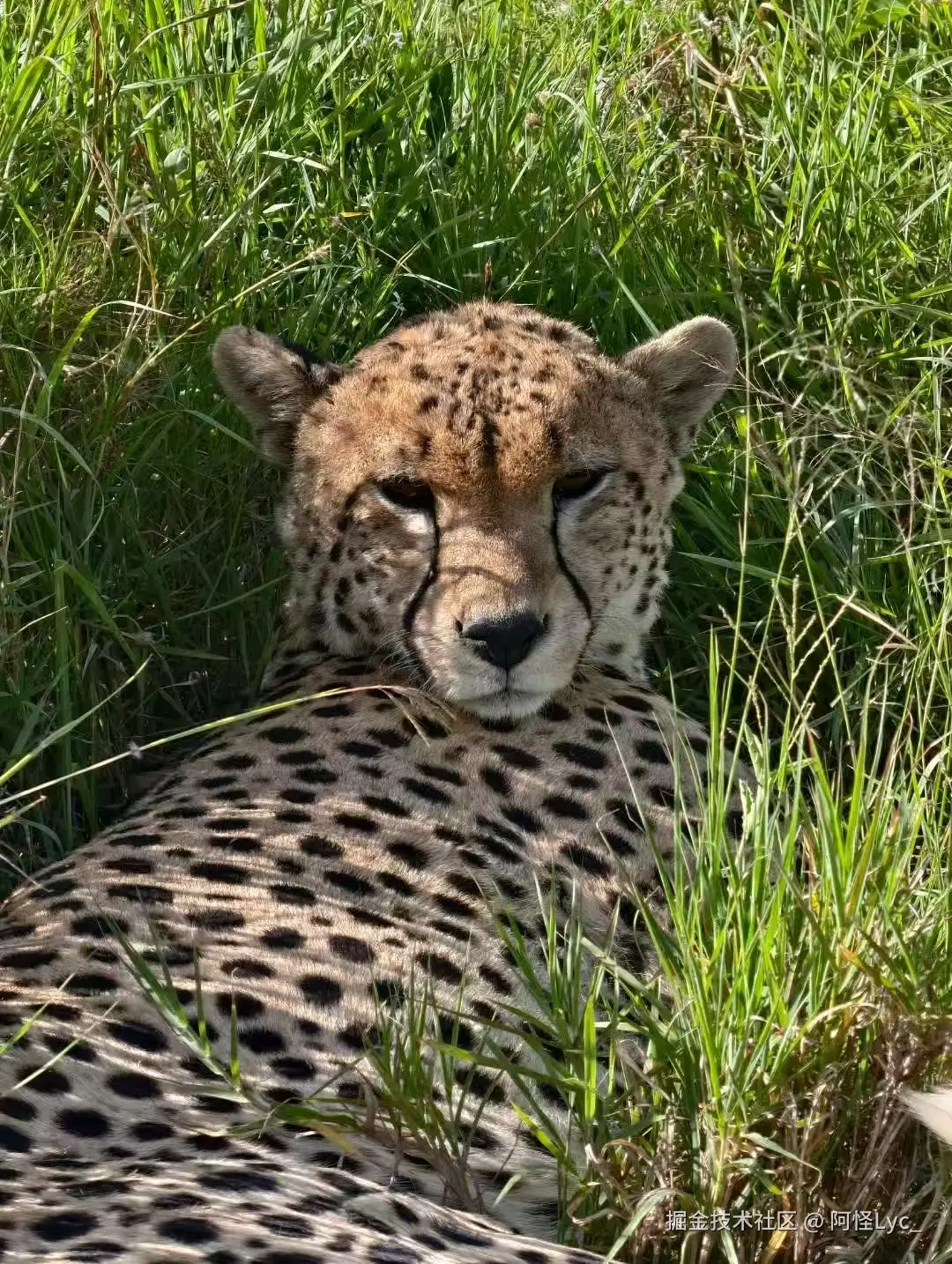 阿怪Lyc_于2025-05-20 09:45发布的图片