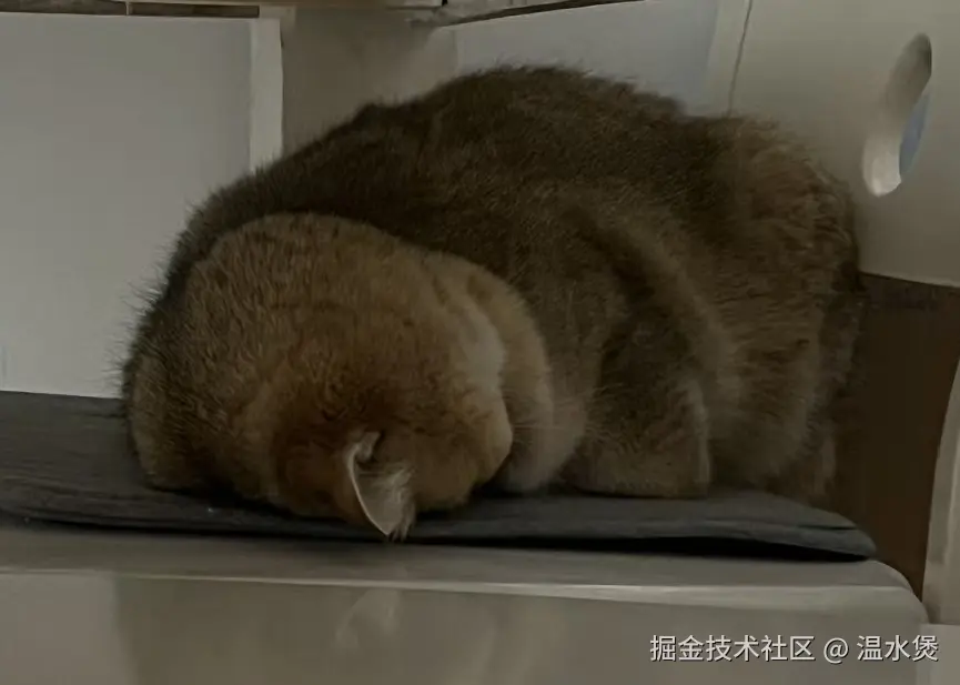 温水煲于2026-01-21 02:47发布的图片