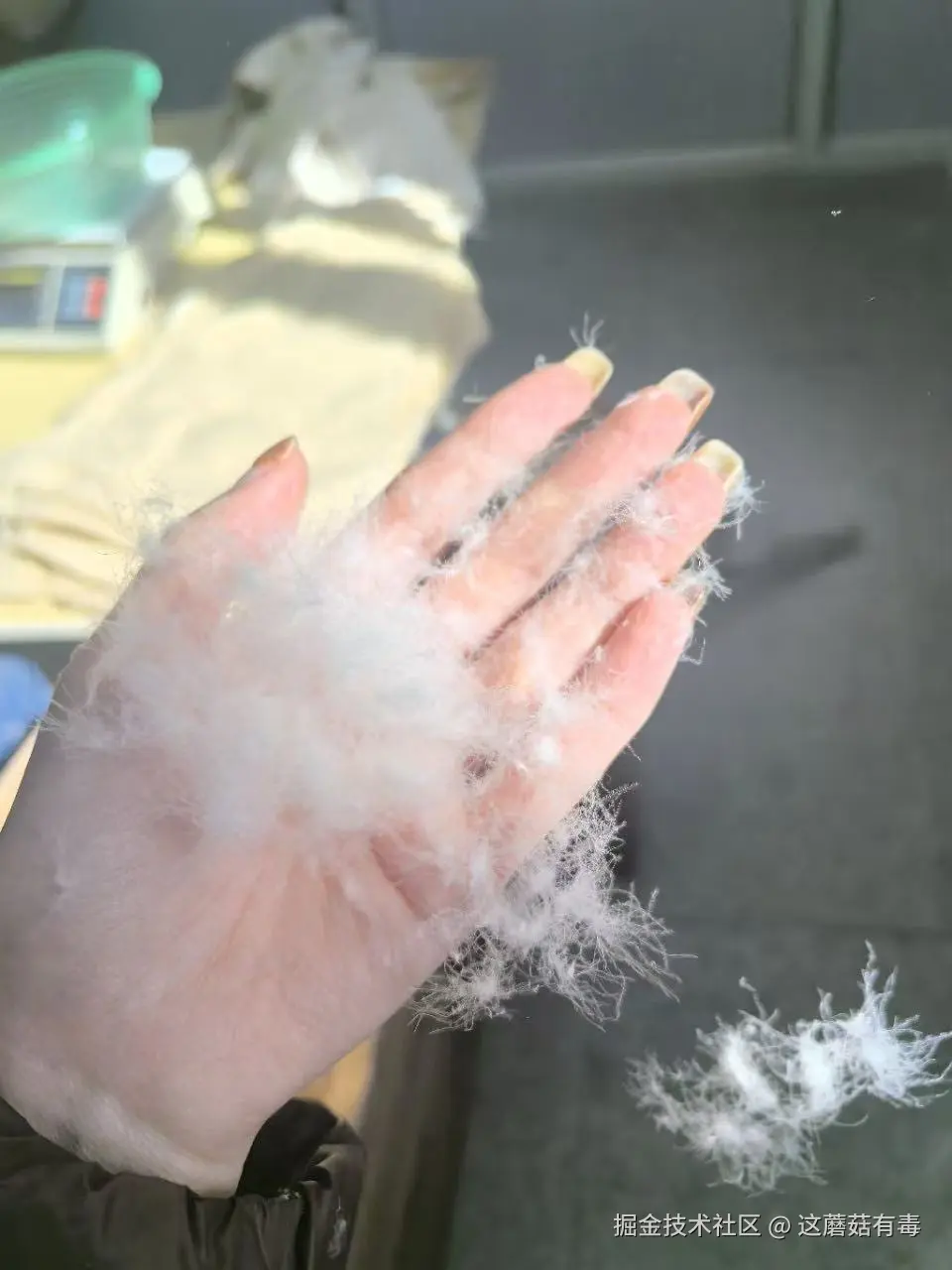 这蘑菇有毒于2026-01-07 17:26发布的图片