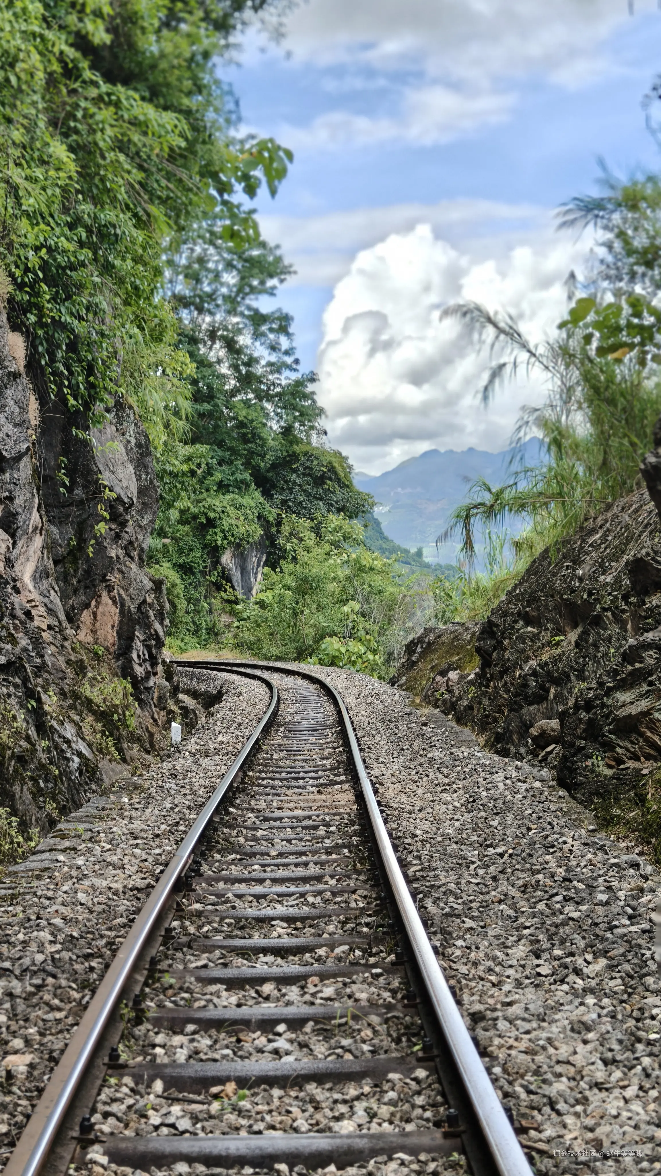 蜗牛等等我于2025-08-11 10:05发布的图片