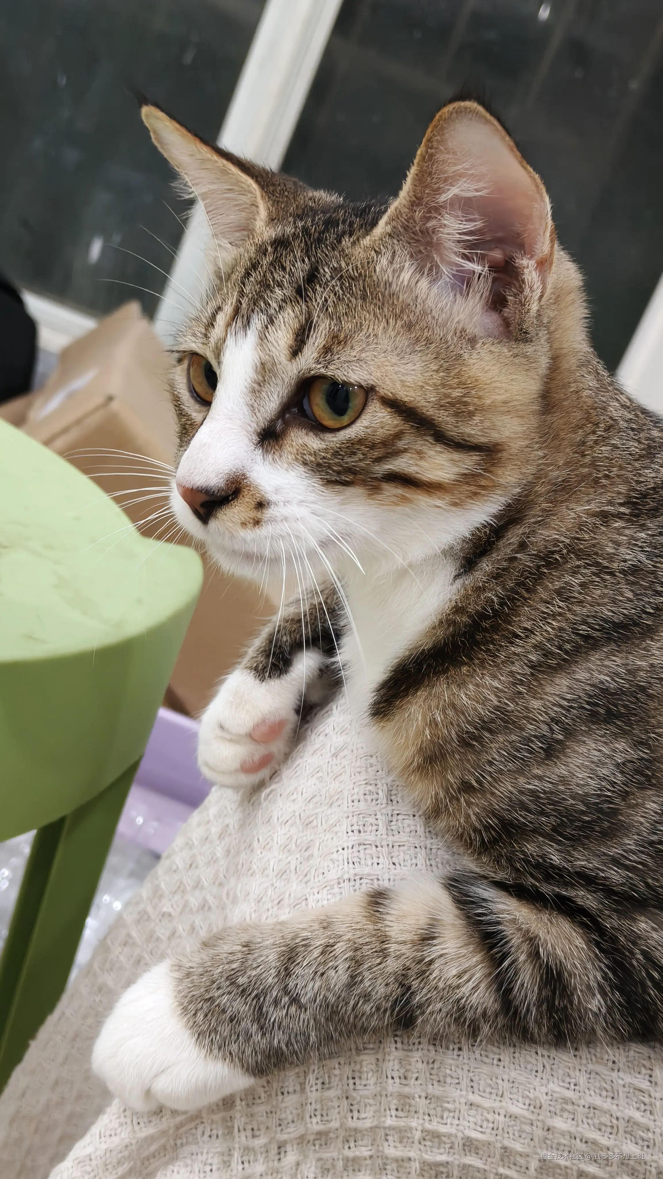 钱多多不想上班于2025-09-26 09:53发布的图片