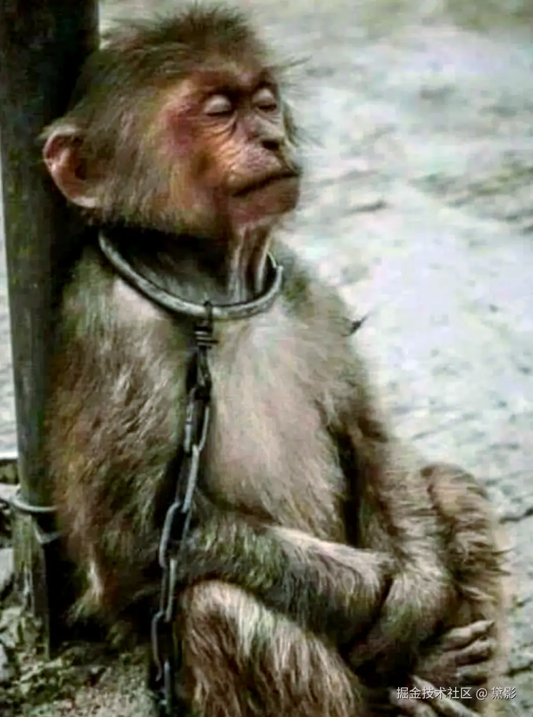 黛影于2026-01-30 09:26发布的图片