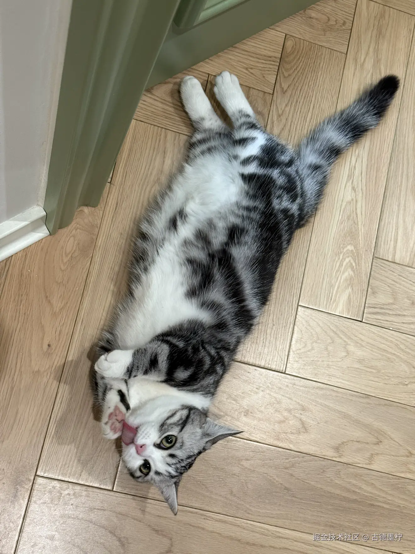 古德墨柠于2026-01-30 17:53发布的图片