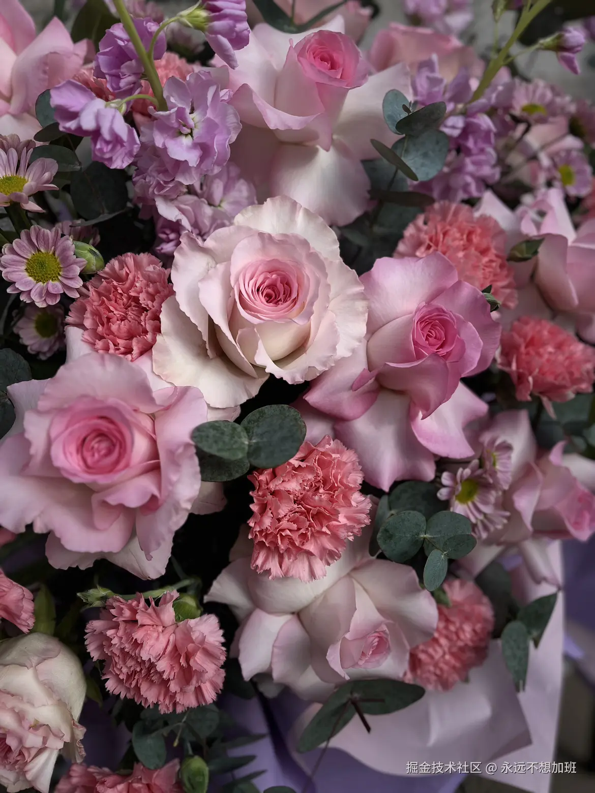 永远不想加班于2026-01-05 10:22发布的图片