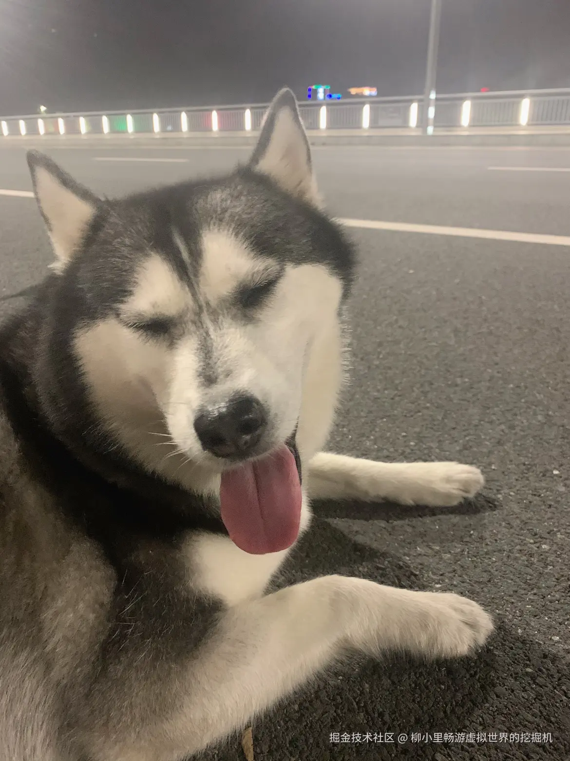 柳小里畅游虚拟世界的挖掘机于2025-11-27 10:58发布的图片