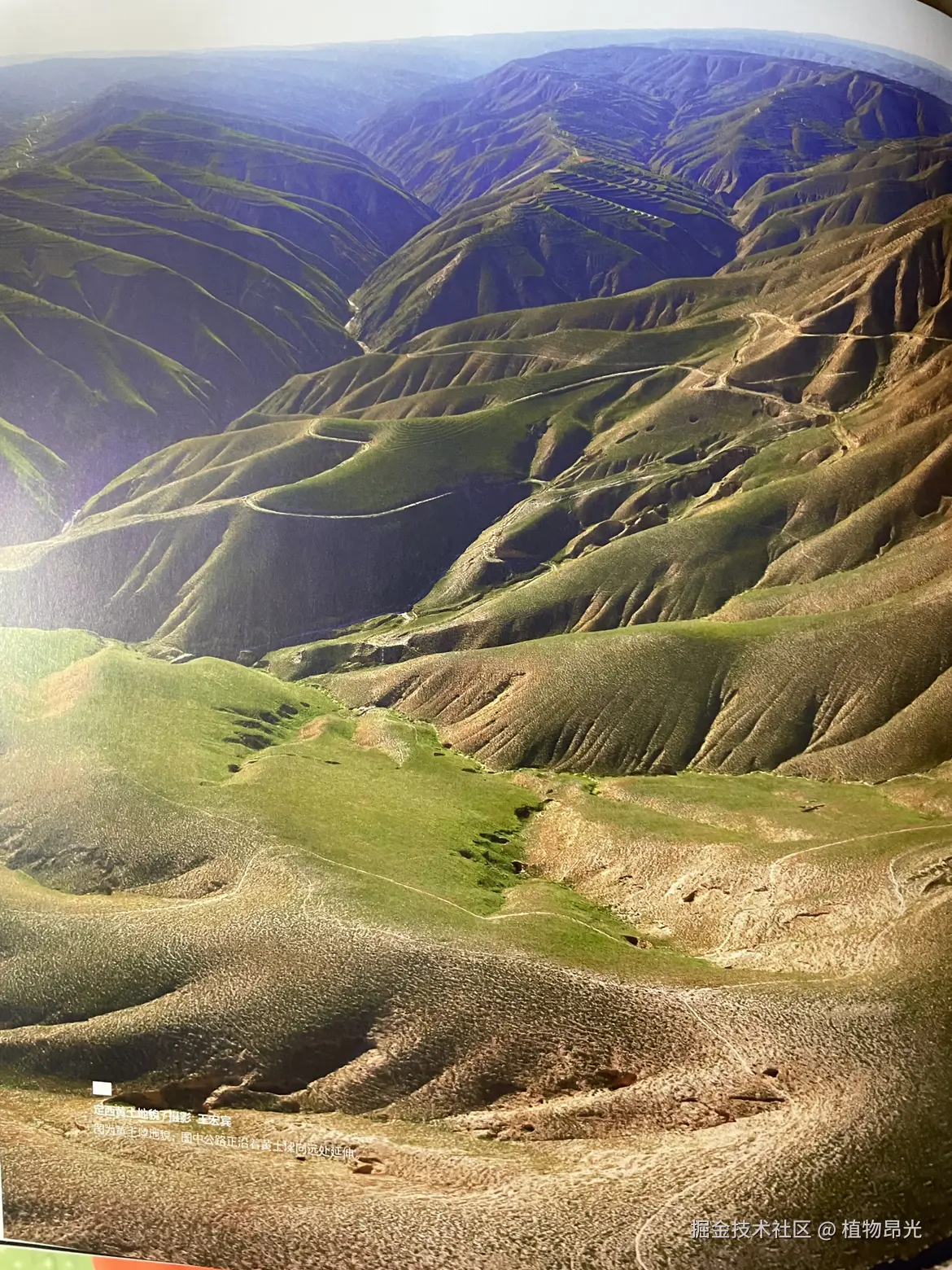 植物昂光于2026-03-24 20:49发布的图片