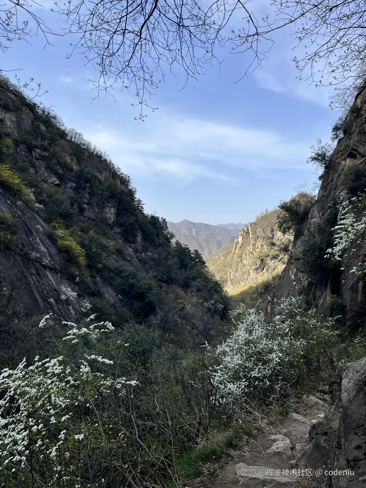 codeniu于2025-04-08 08:33发布的图片