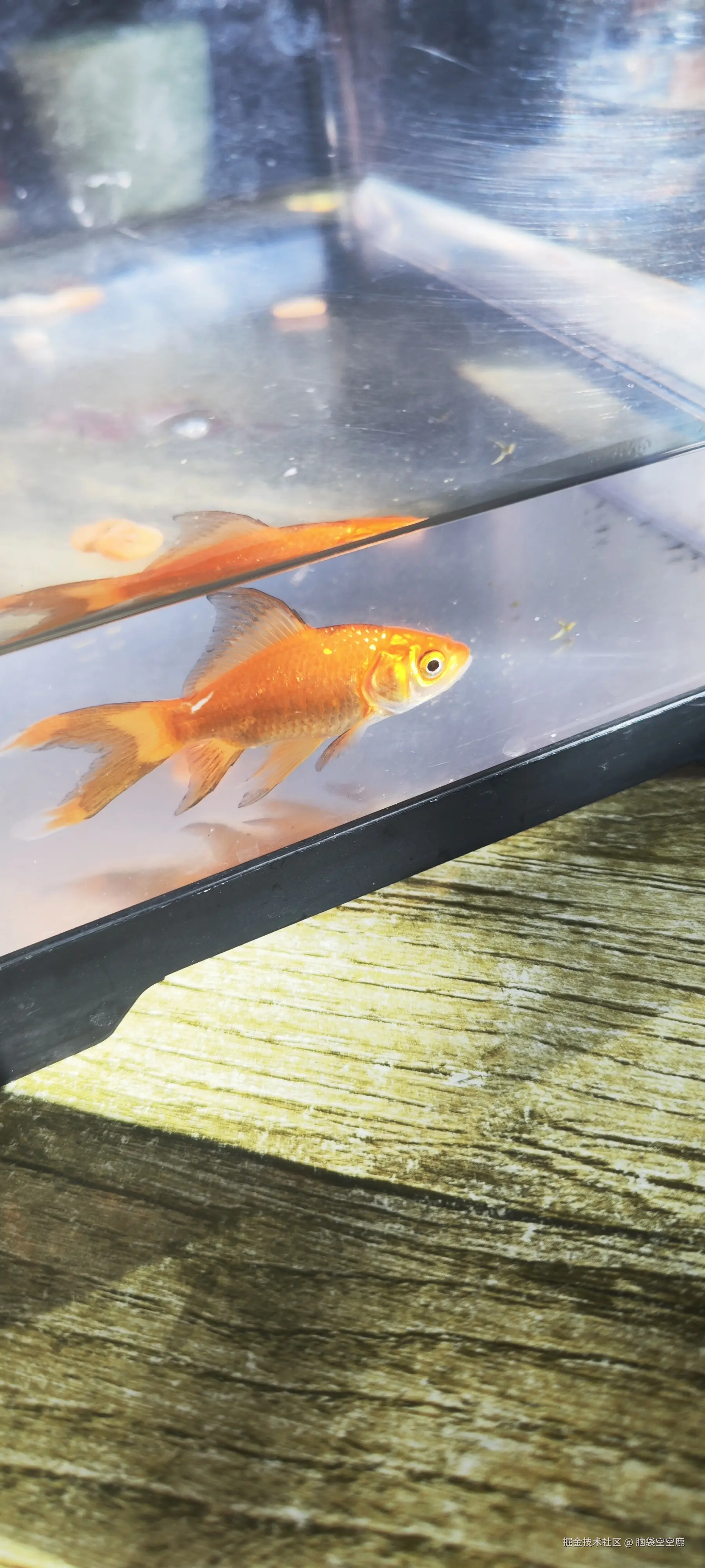 脑袋空空鹿于2025-10-09 09:17发布的图片