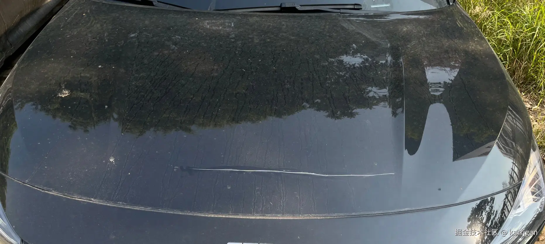 karrigan于2025-03-21 11:07发布的图片