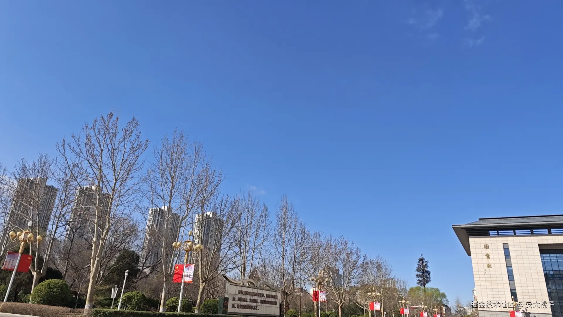 安大桃子于2026-03-18 09:15发布的图片