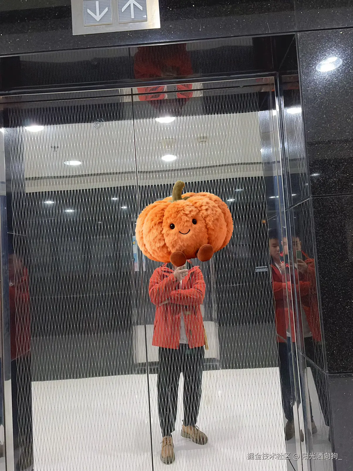 阳光洒向狗_于2025-10-29 16:10发布的图片