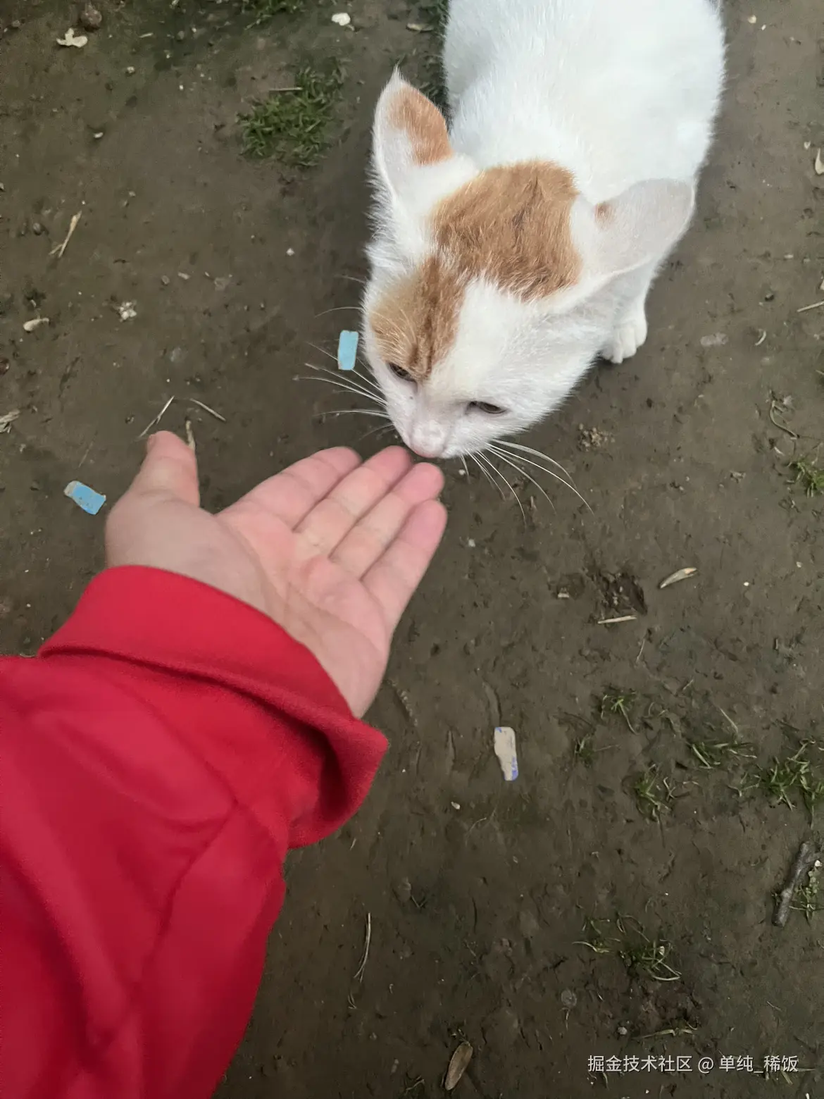 单纯_稀饭于2025-10-28 08:29发布的图片