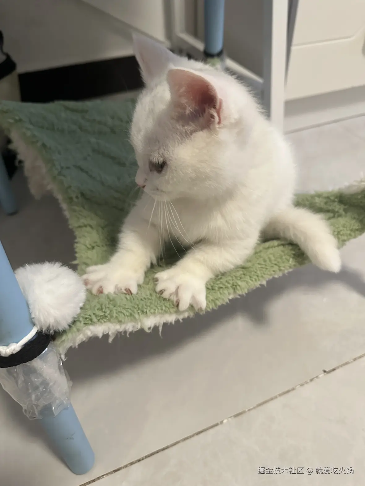 就爱吃火锅于2025-04-07 13:37发布的图片