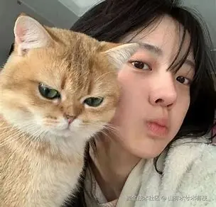 JavaScript核心原理三部曲