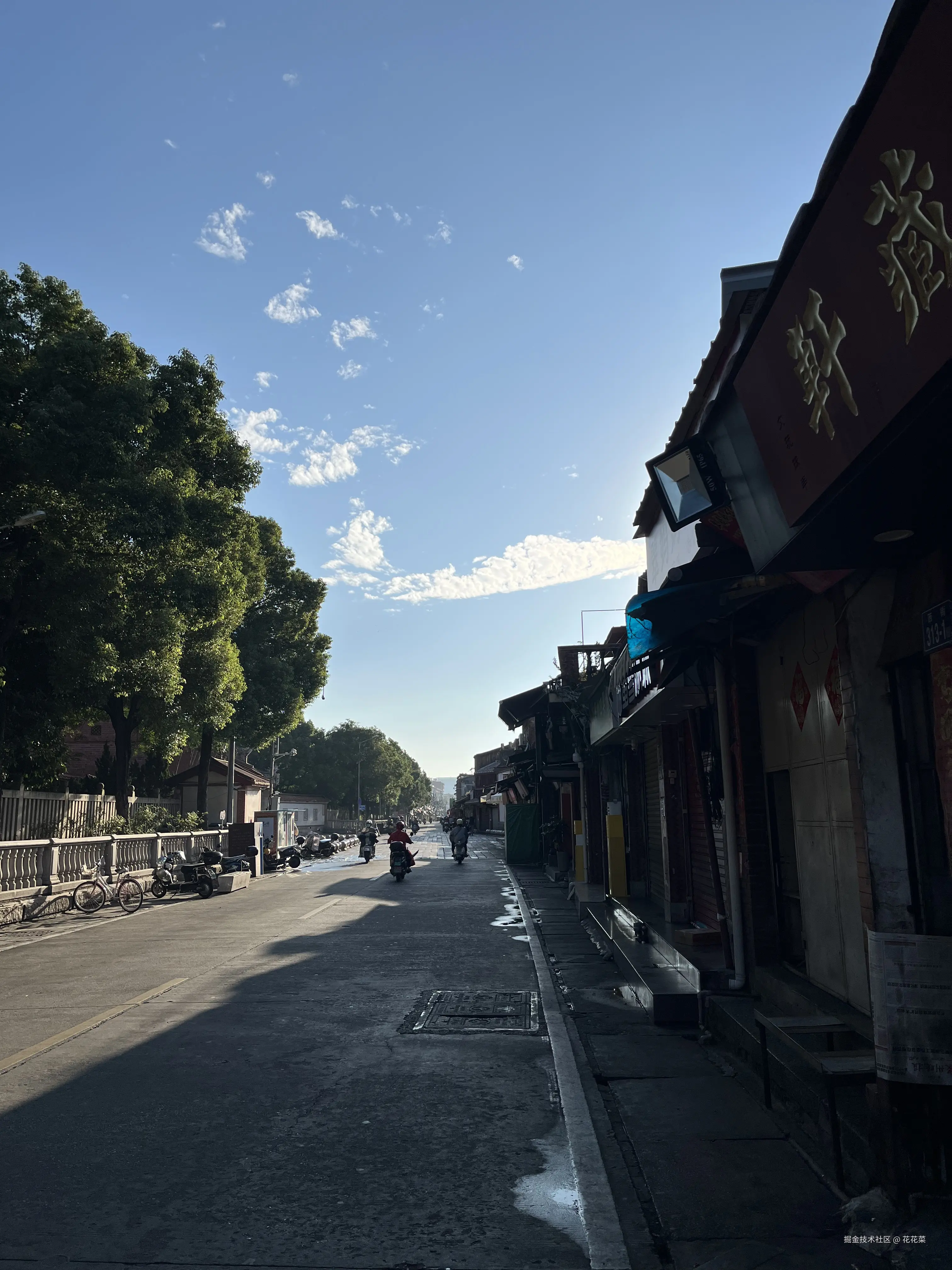 花花菜于2024-11-04 15:07发布的图片