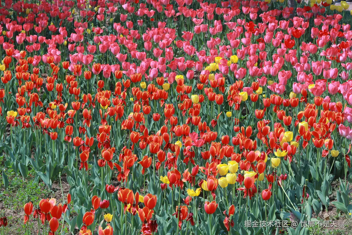 忧郁不是天赋于2025-03-11 15:47发布的图片