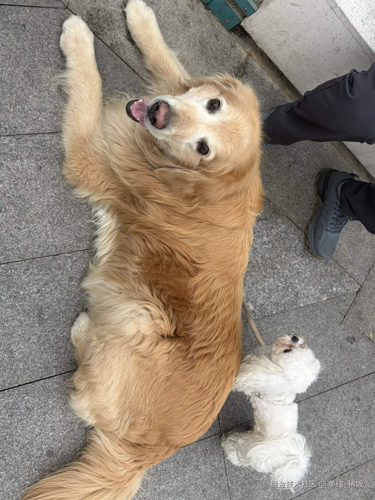 单纯_稀饭于2026-03-27 10:35发布的图片