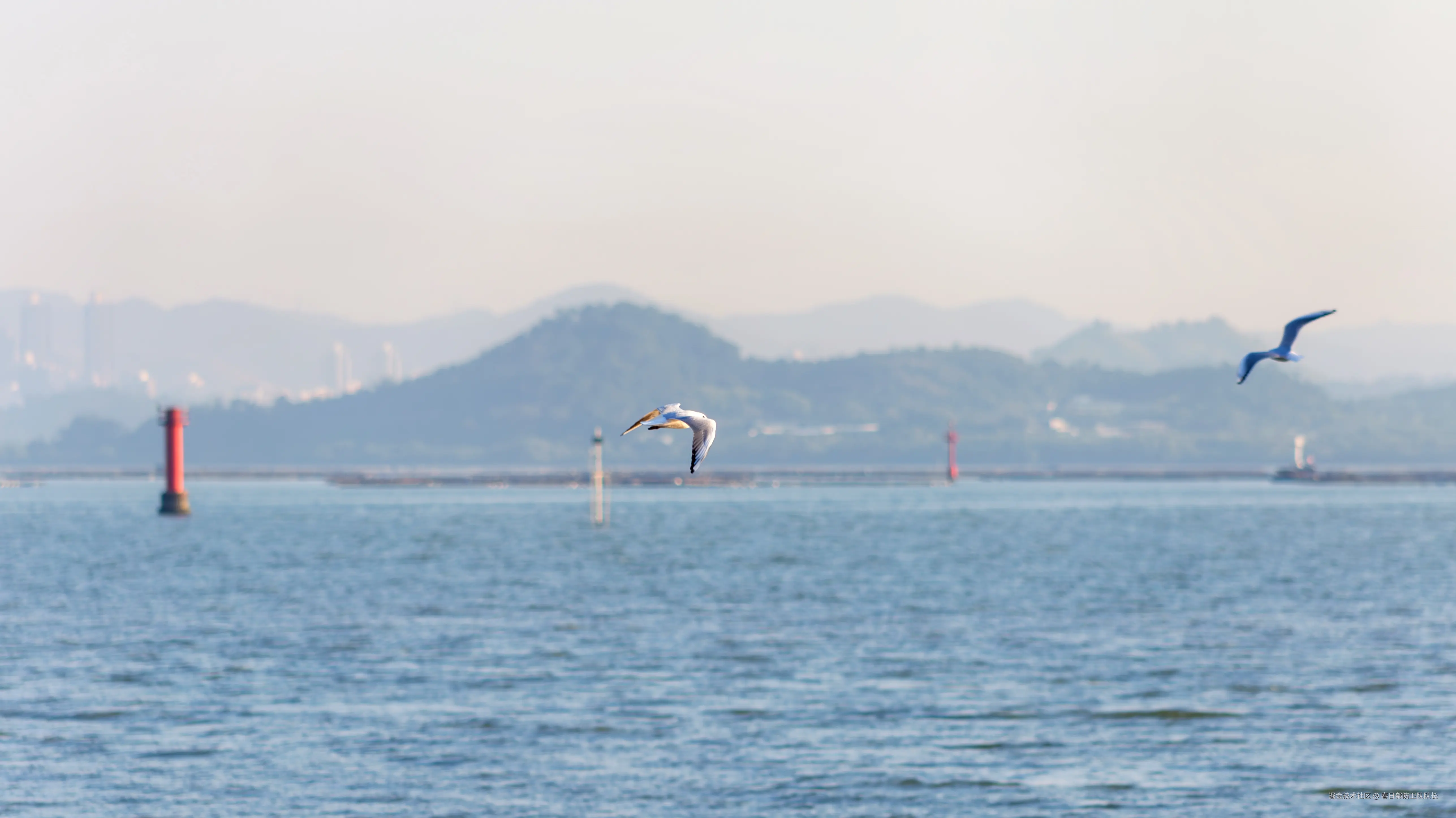 春日部防卫队队长于2024-12-02 09:50发布的图片