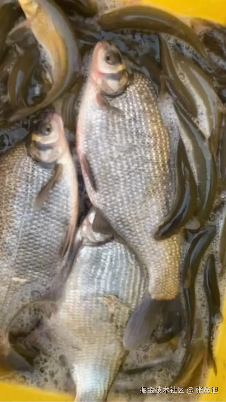 张鑫旭于2025-02-24 17:30发布的图片